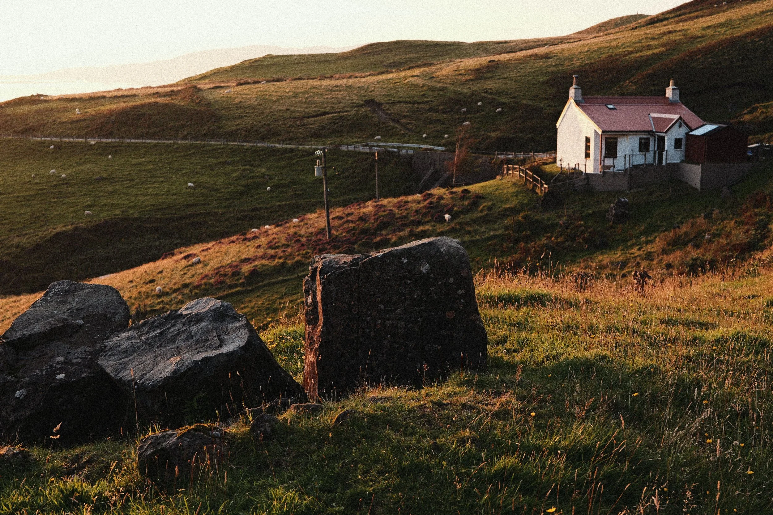 248 Kodak Gold LUMIX Look32.jpg