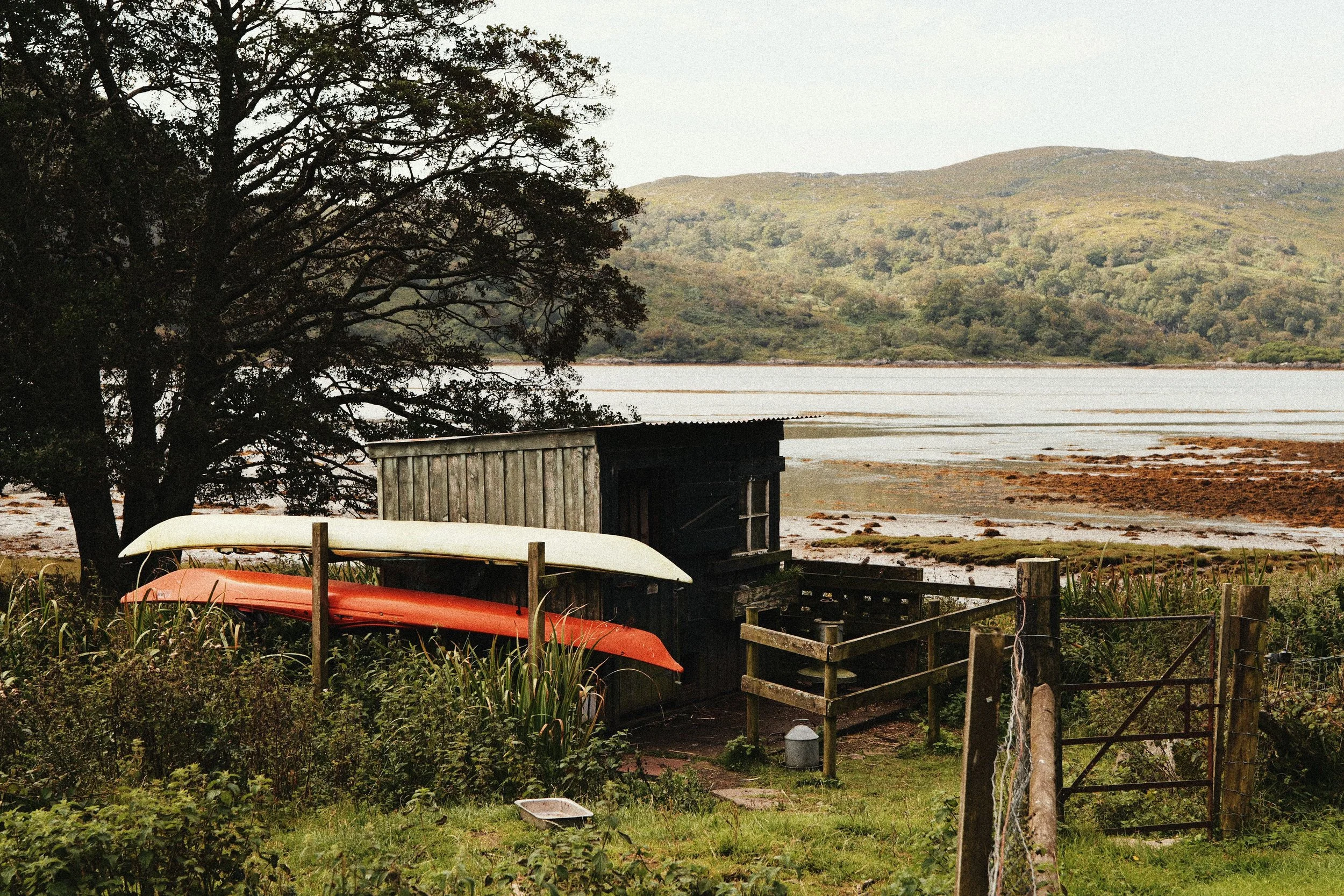 248 Kodak Gold LUMIX Look12.jpg