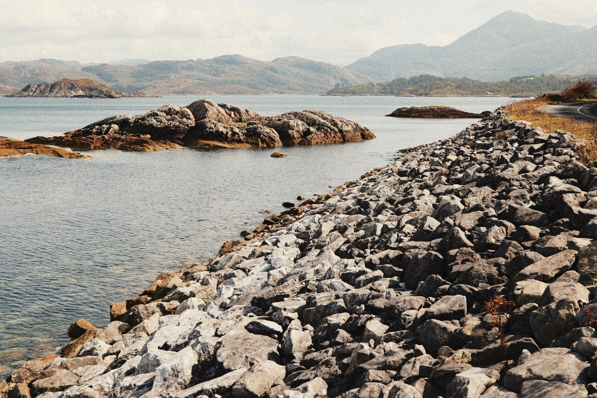 248 Kodak Gold LUMIX Look11.jpg