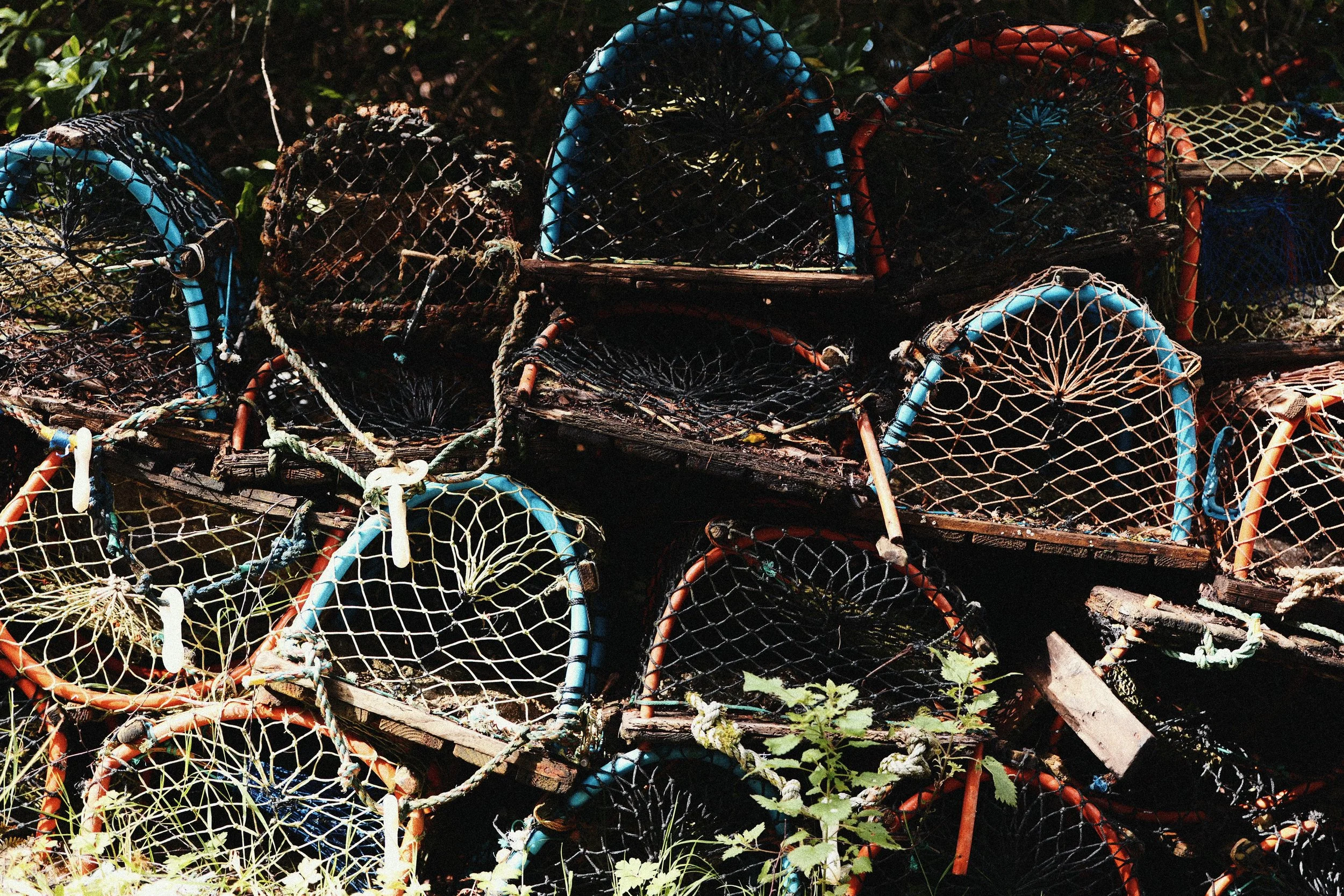 248 Kodak Gold LUMIX Look9.jpg