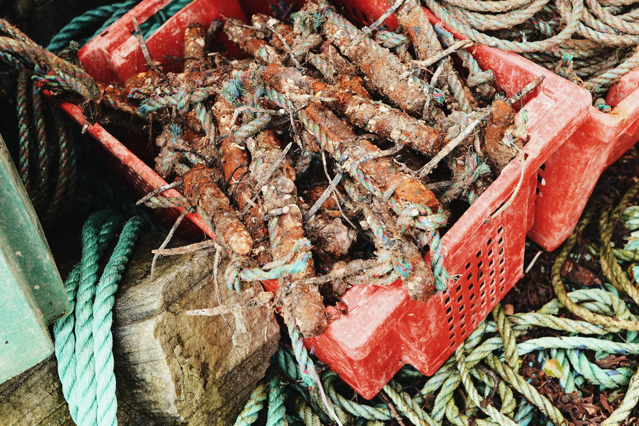 248 Kodak Gold LUMIX Look10.jpg