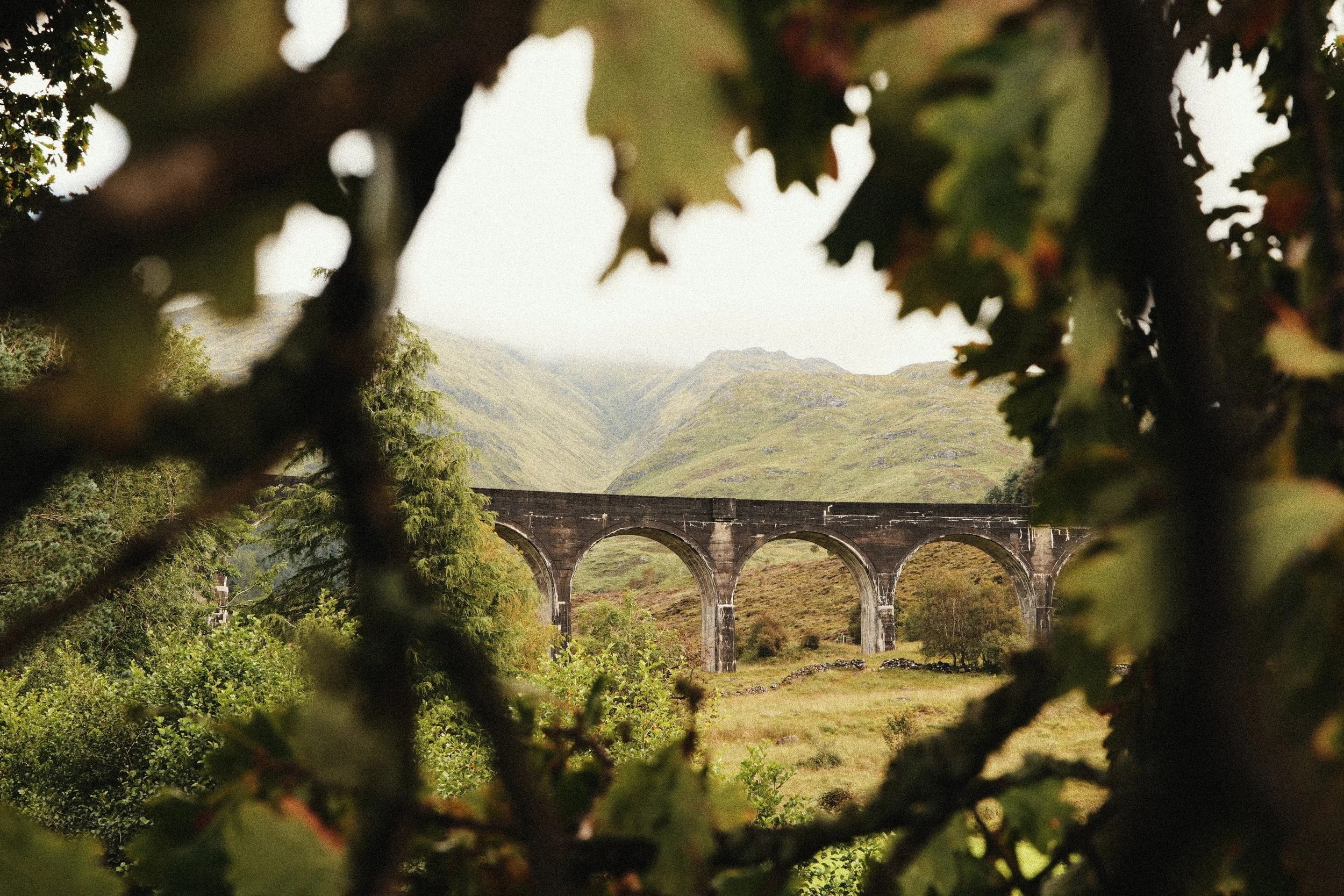 248 Kodak Gold LUMIX Look7.jpg