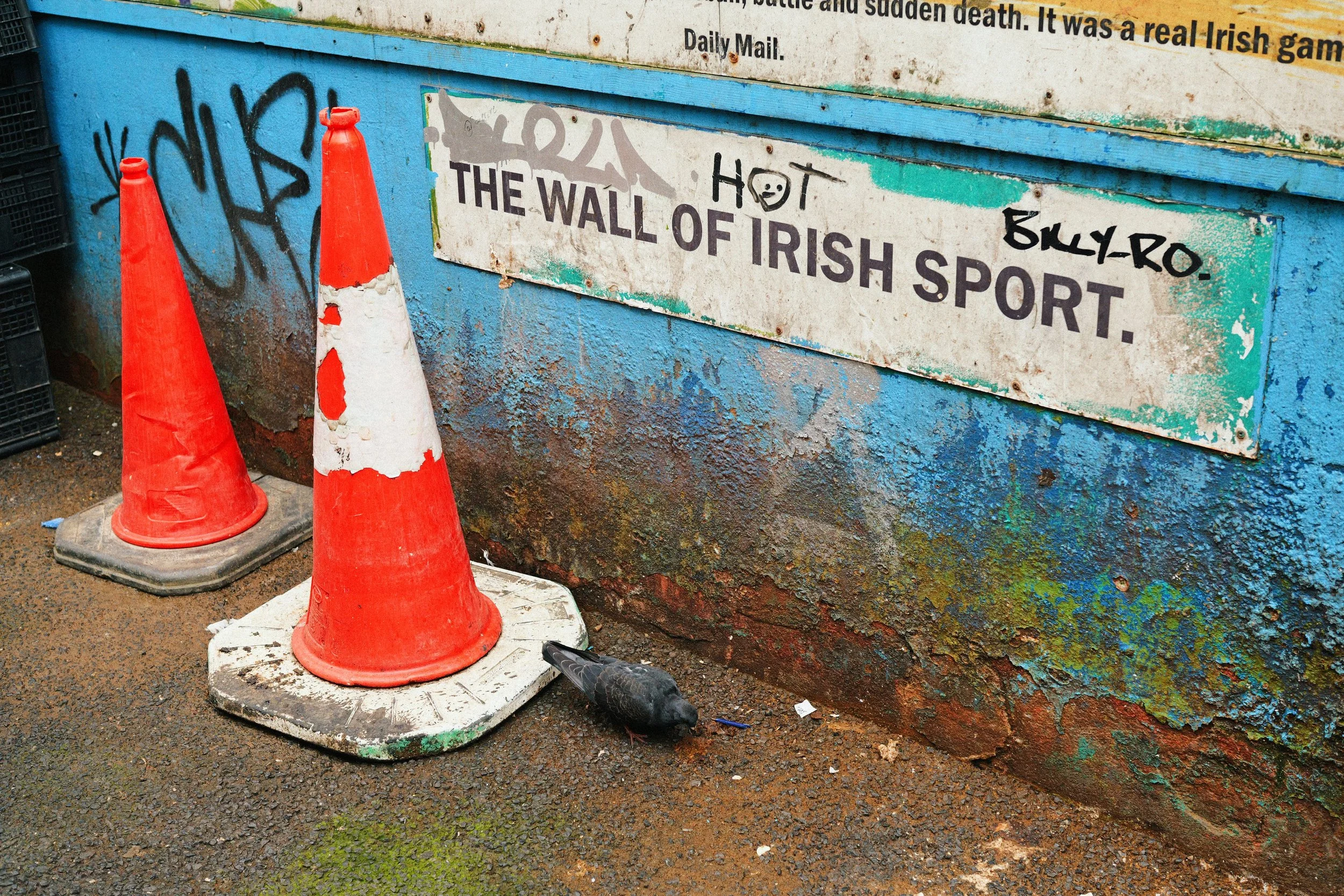 303 Éire Ektamax 100 52.jpg