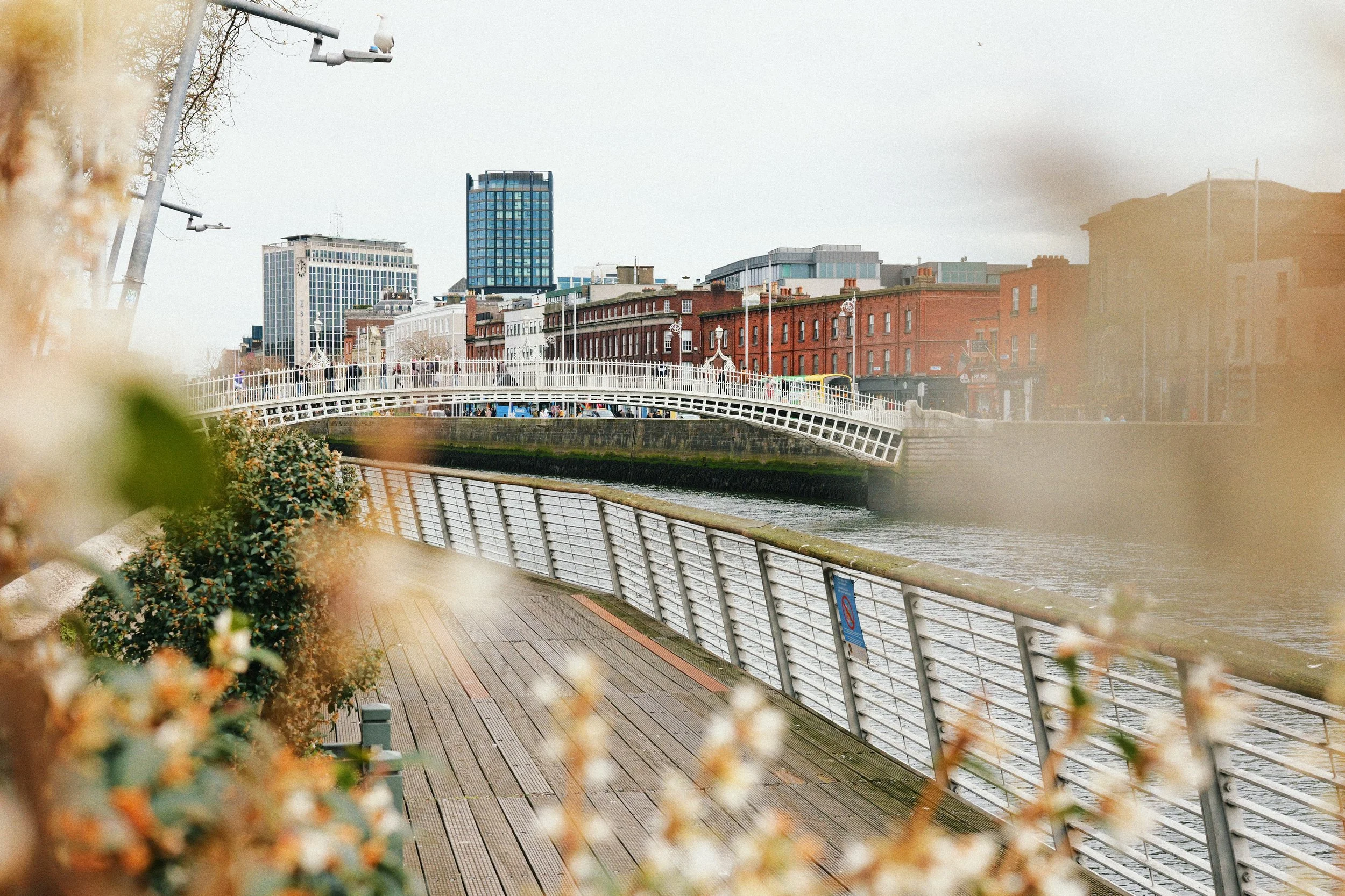 303 Éire Ektamax 100 41.jpg