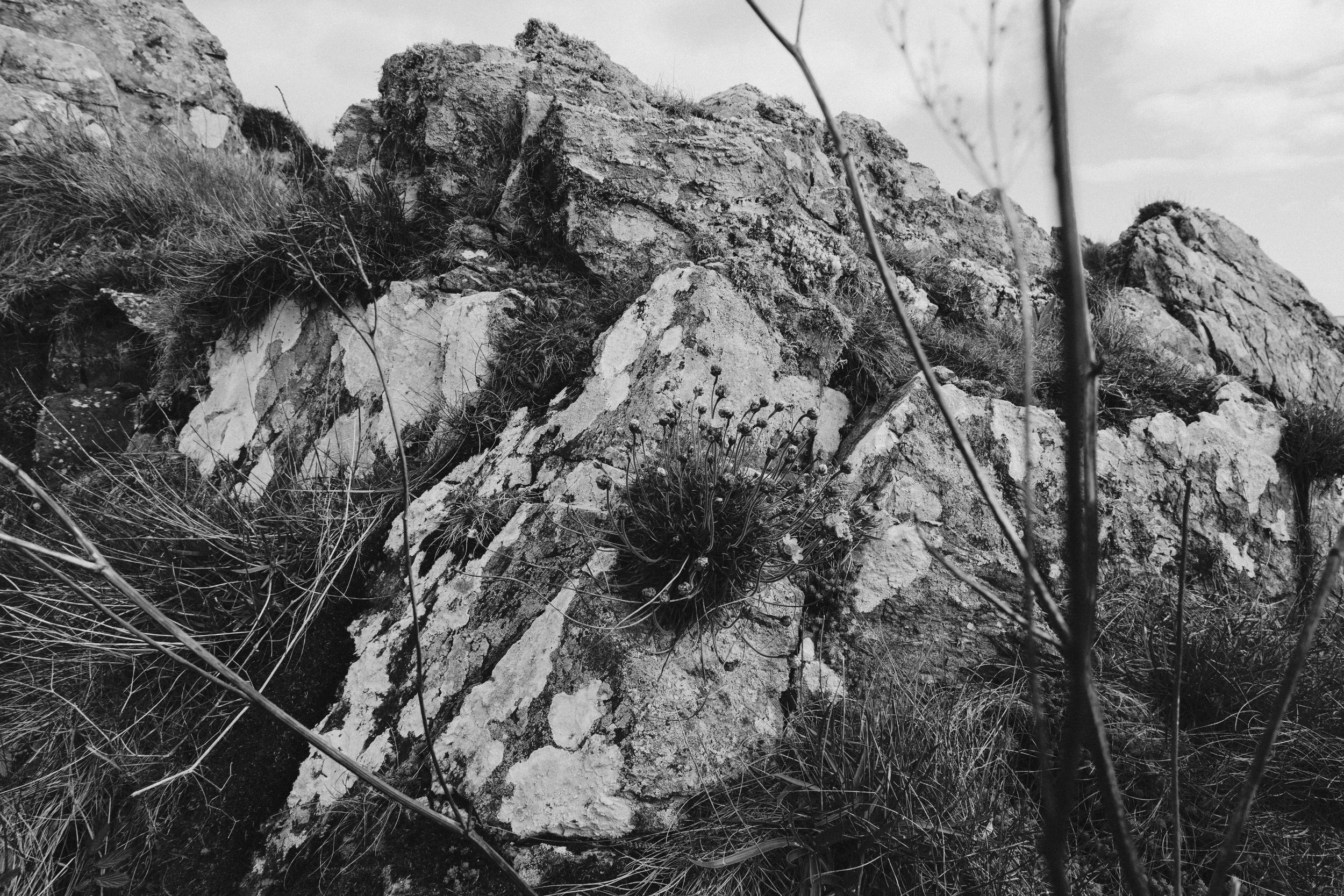 277 Orlock Exports 19.jpg