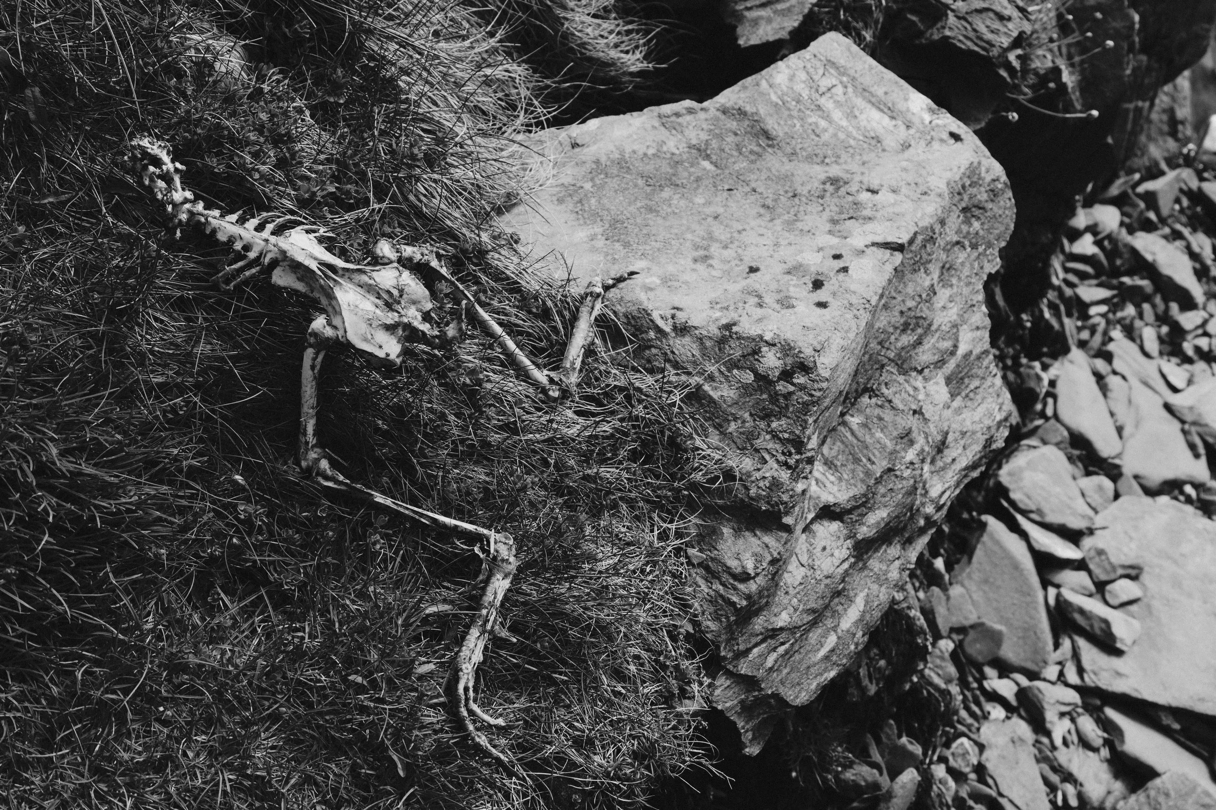 277 Orlock Exports 9.jpg