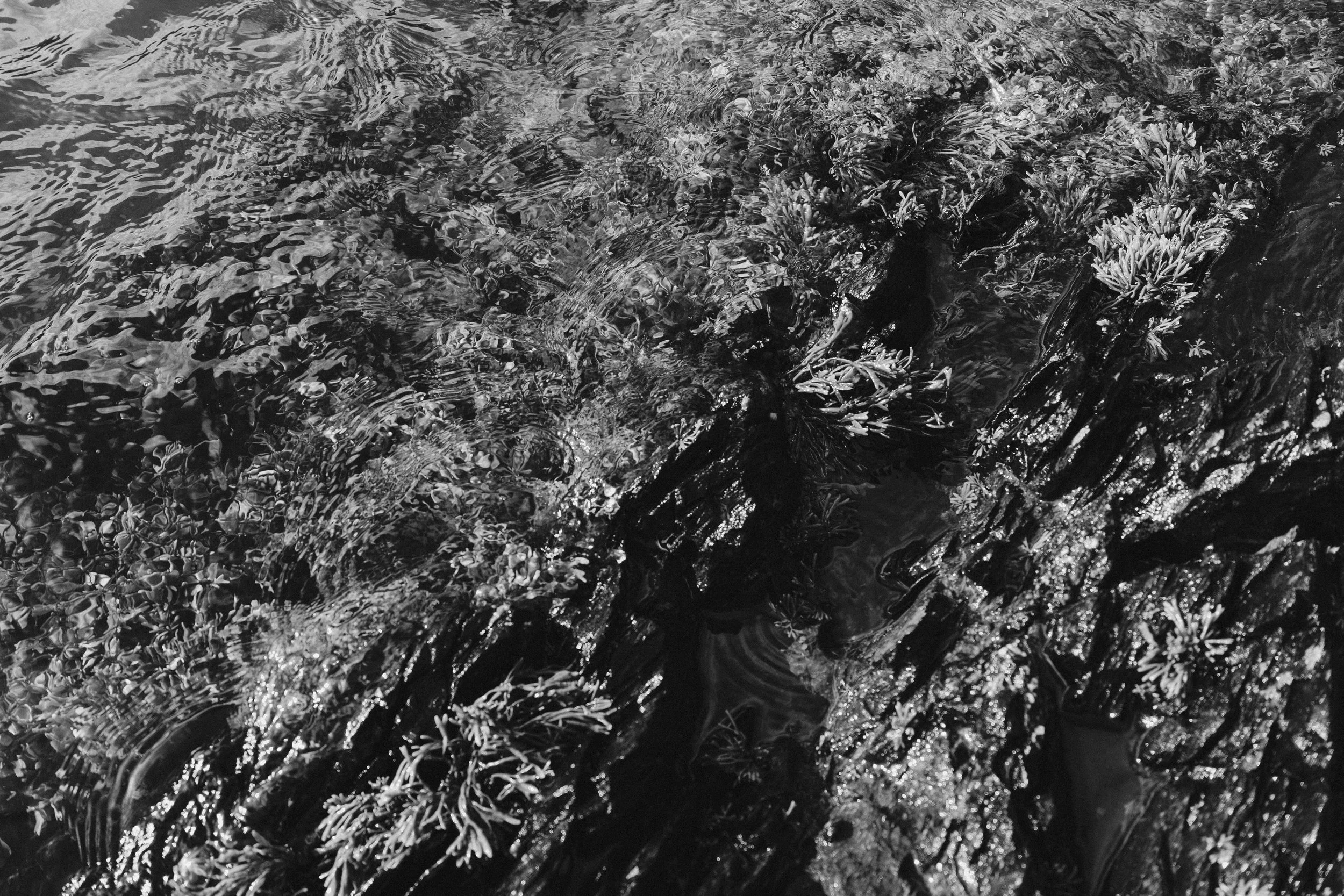 277 Orlock Exports 7.jpg