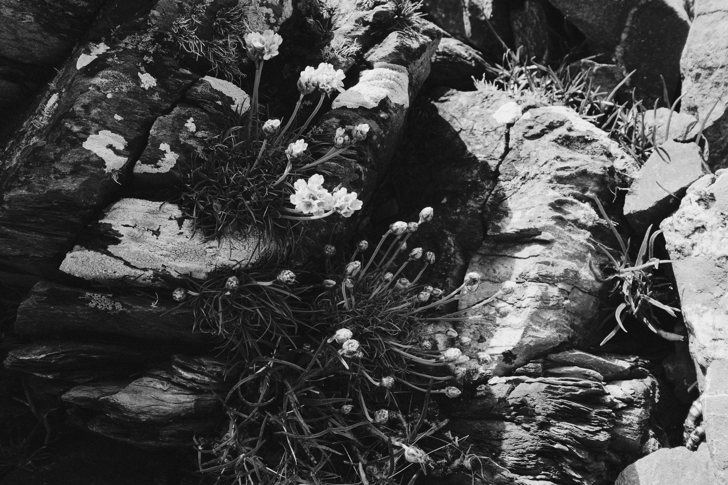 277 Orlock Exports 5.jpg