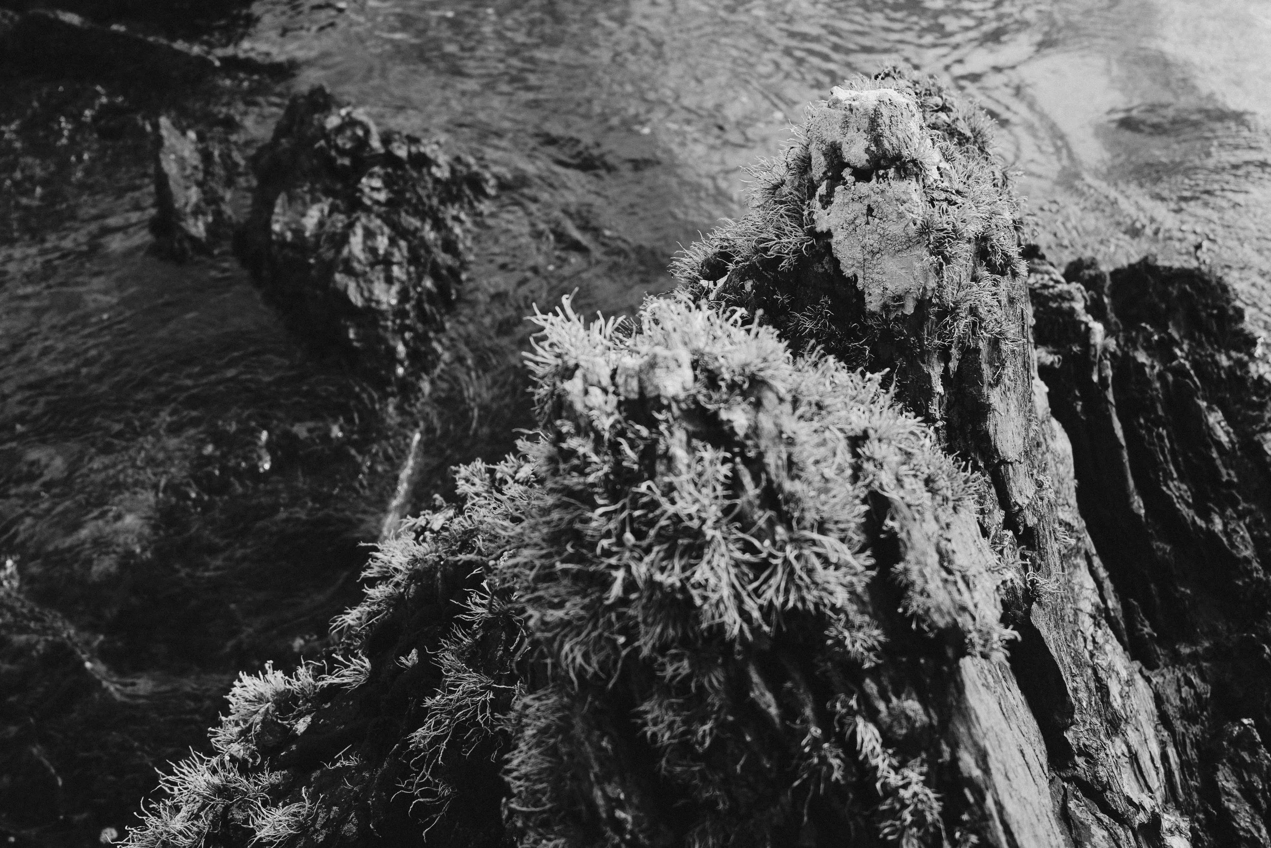 277 Orlock Exports 2.jpg