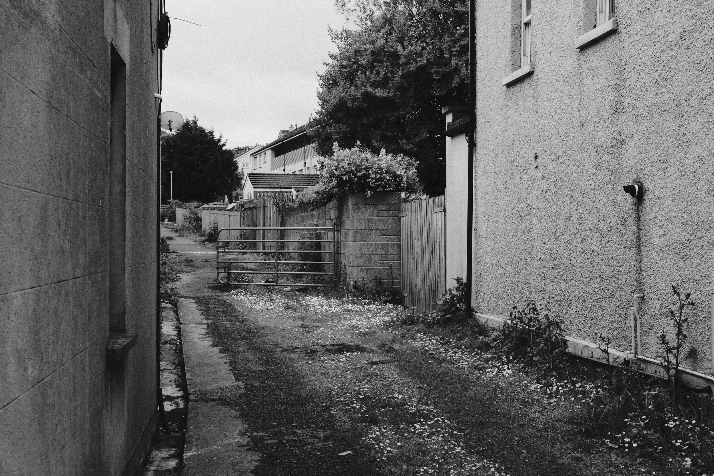 311 Holywood L10 (Orlock)563.jpg