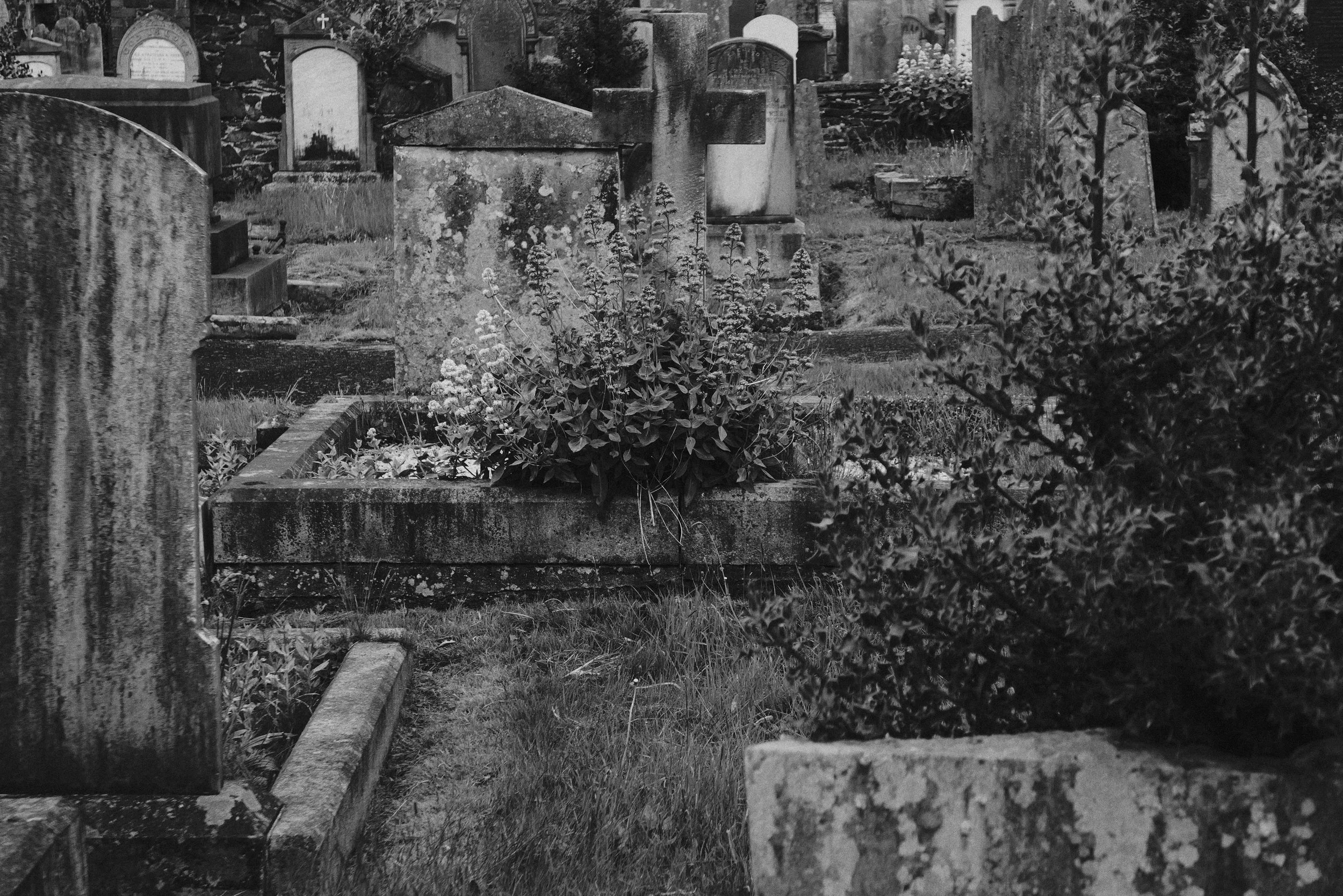 311 Holywood L10 (Orlock)498.jpg
