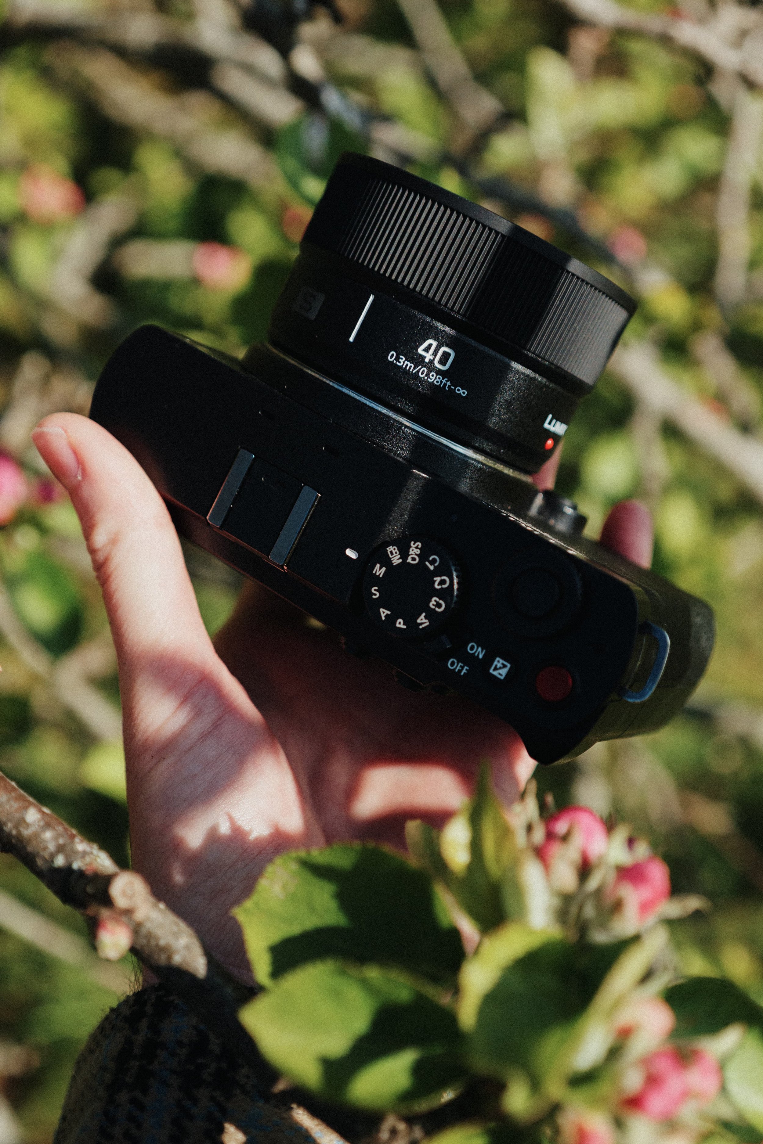 306 LUMIX 40mm f23.jpg