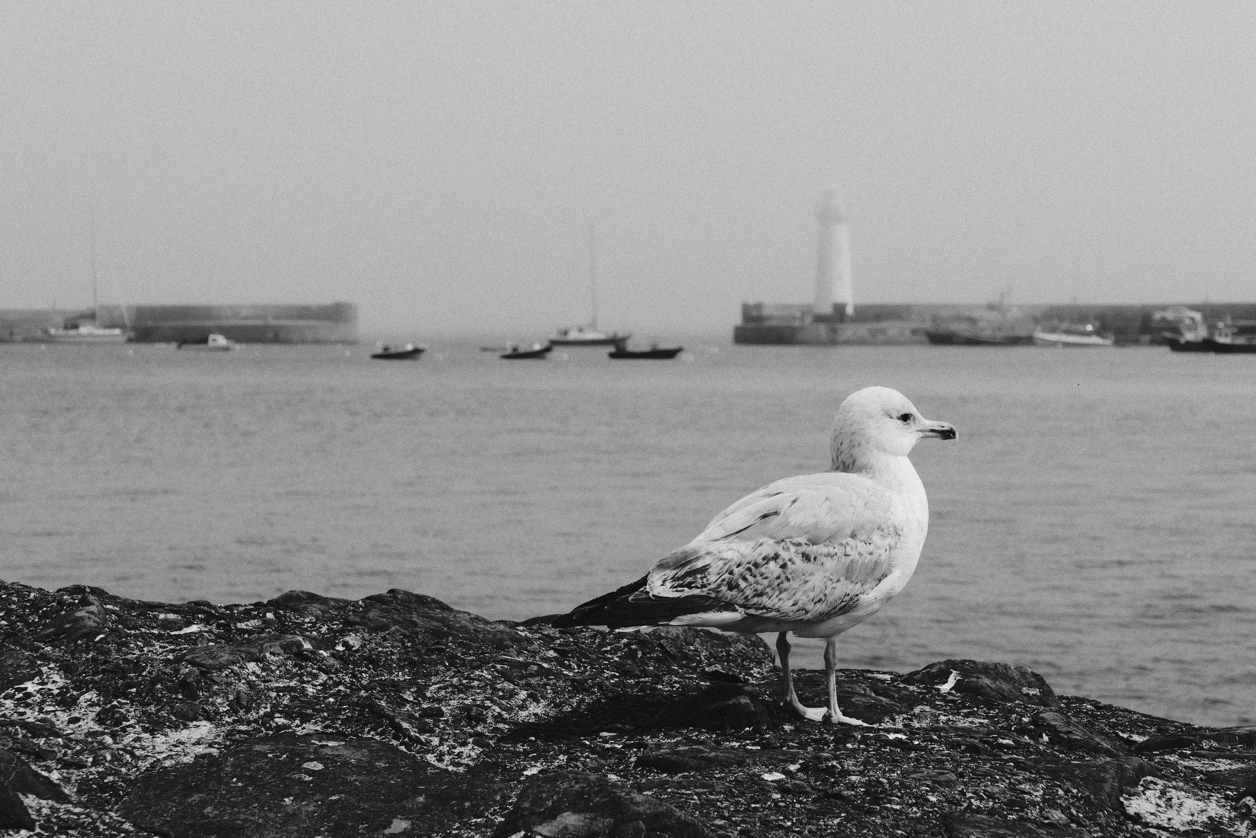 315 L10 Neocross R100 Donaghadee576.jpg