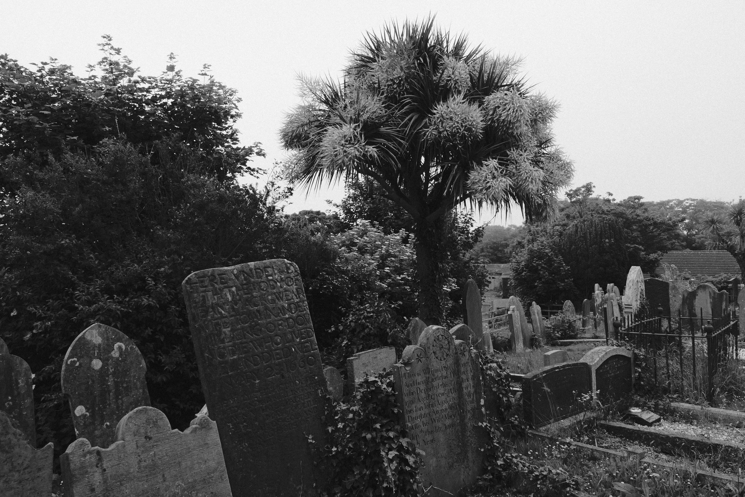 315 L10 Neocross R100 Donaghadee551.jpg