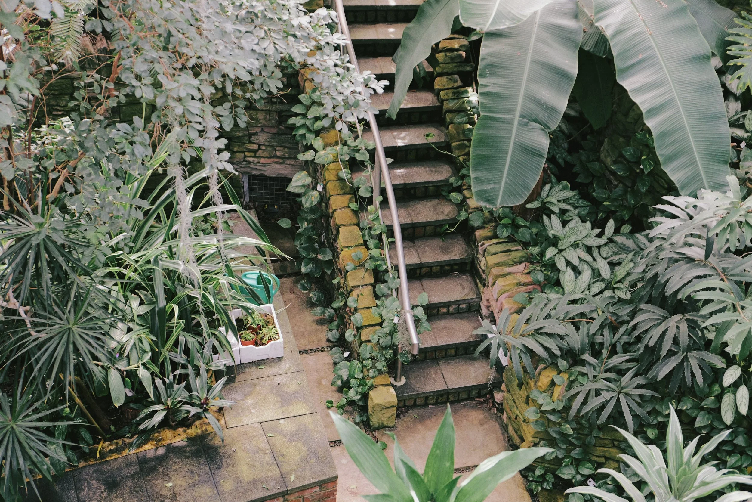 265 Fuji Pro 400H JPEGs69.jpg