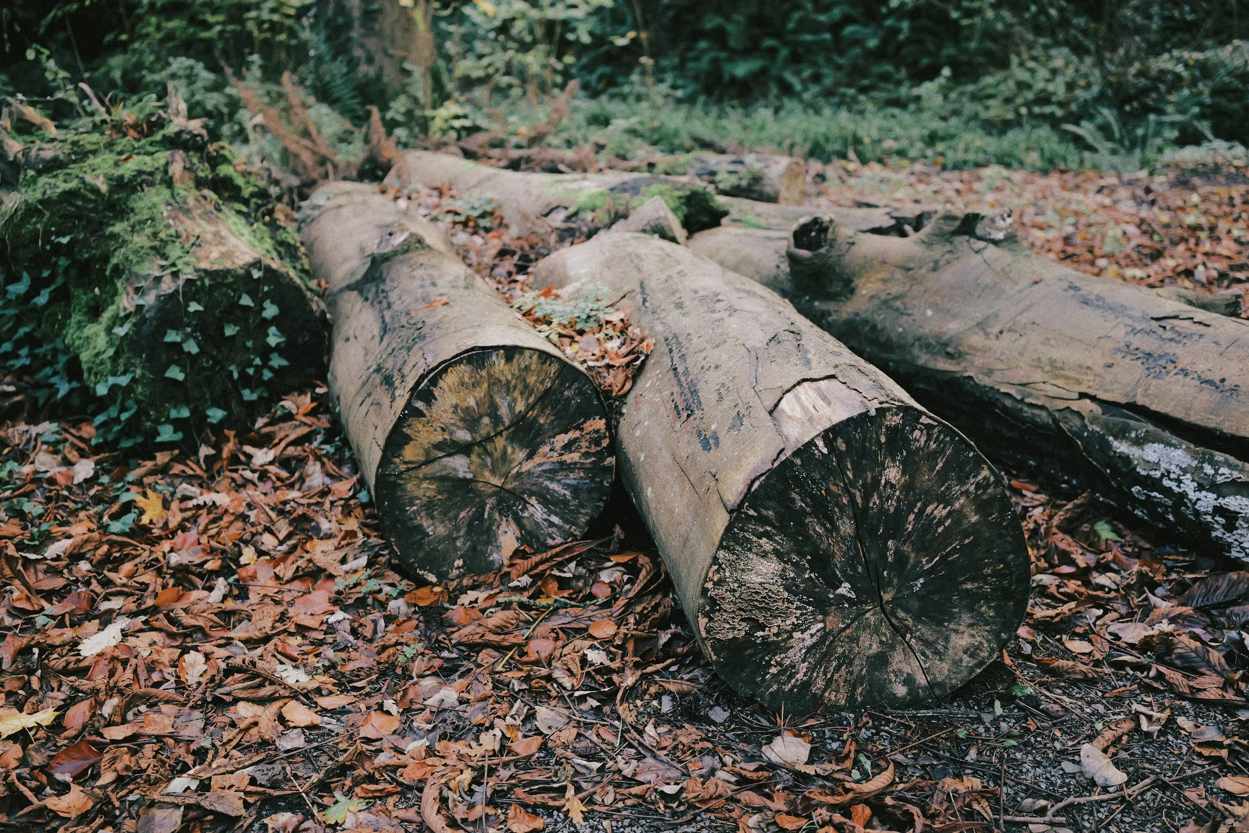 265 Fuji Pro 400H JPEGs10.jpg