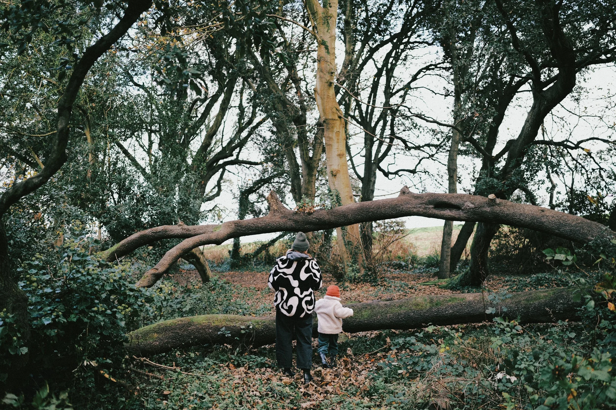 265 Fuji Pro 400H JPEGs7.jpg