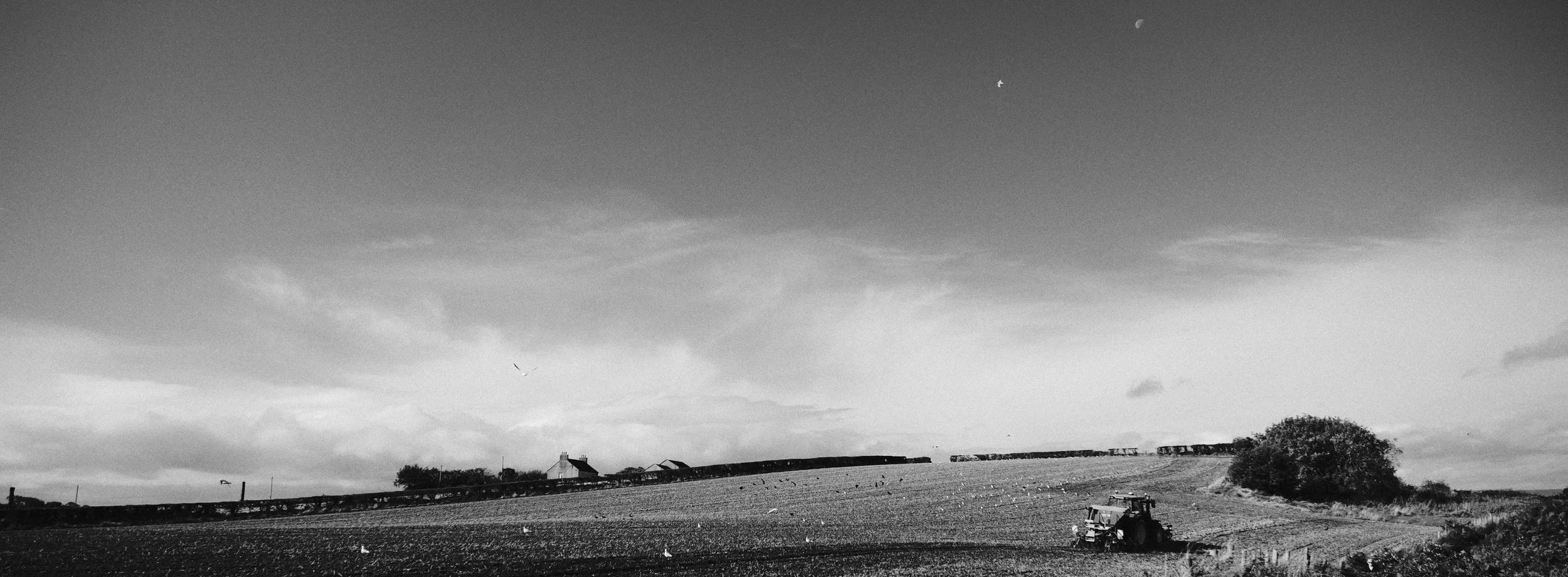 330 XPan 6524 Neocross R100 SOOC Tests (84).jpg