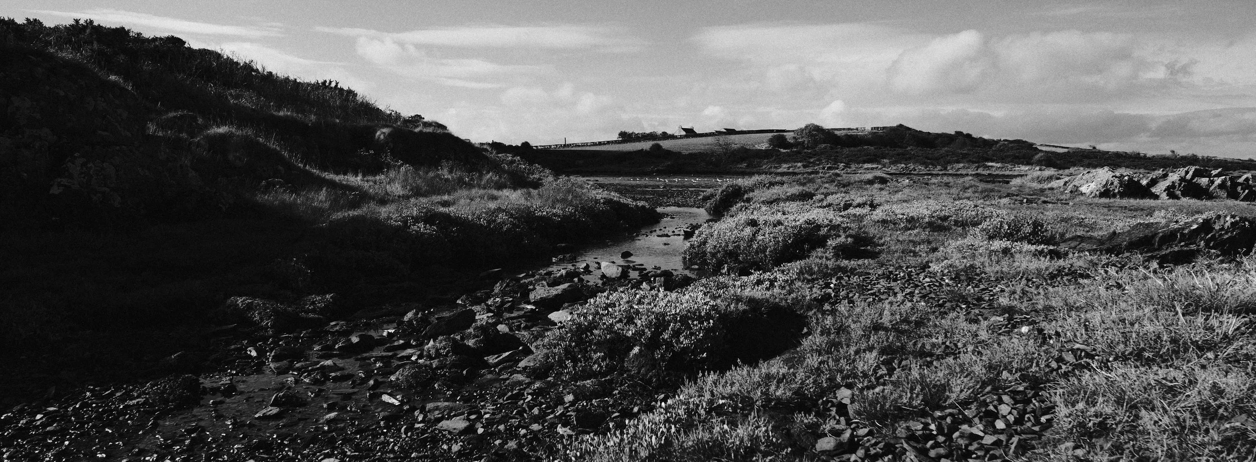 330 XPan 6524 Neocross R100 SOOC Tests (76).jpg