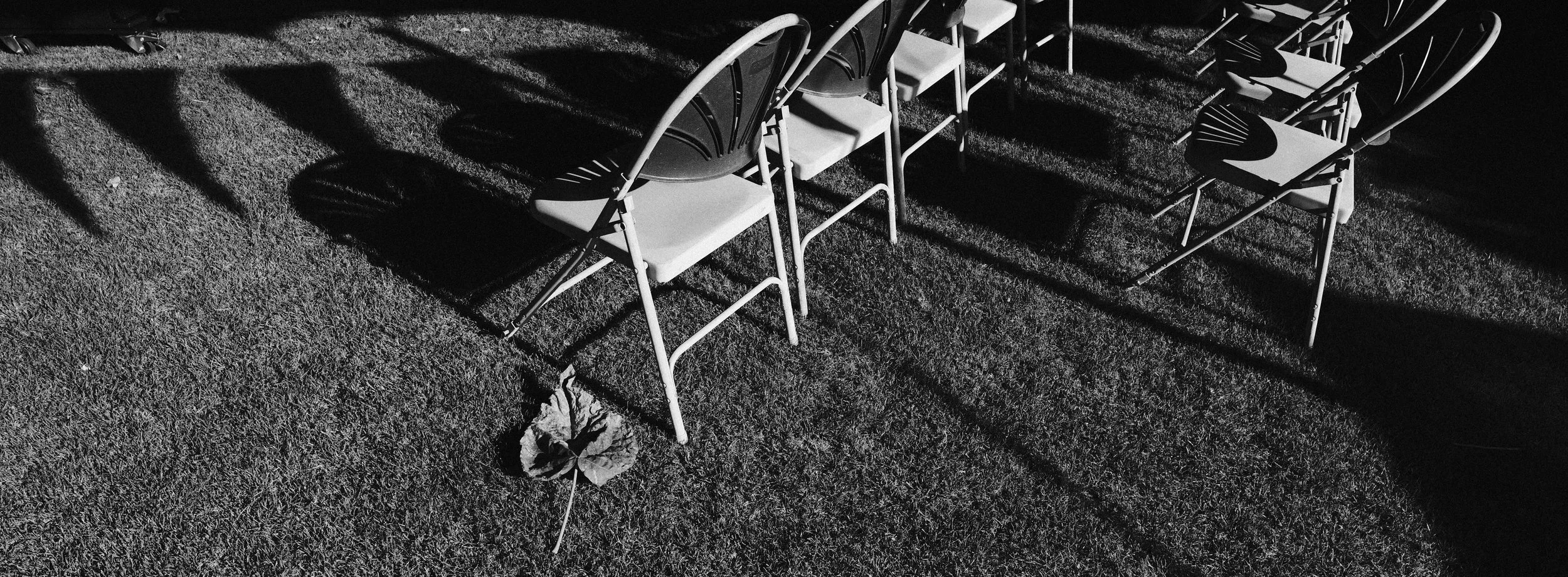 330 XPan 6524 Neocross R100 SOOC Tests (26).jpg