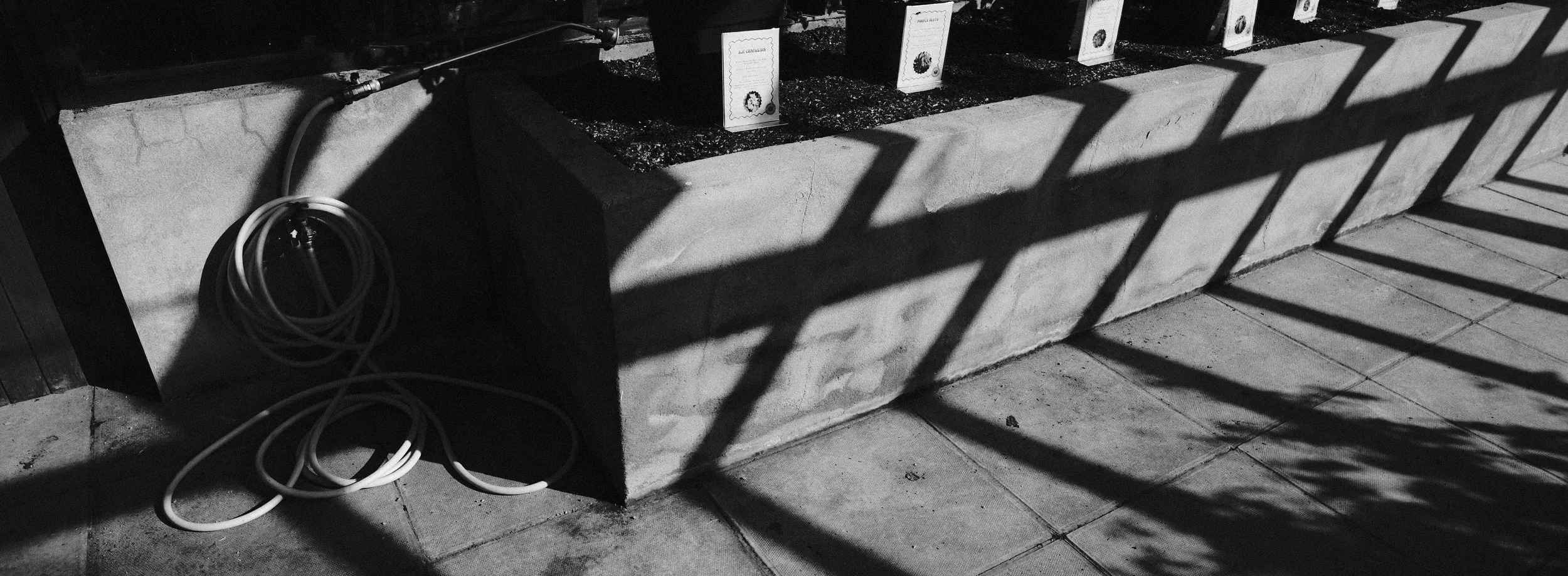 330 XPan 6524 Neocross R100 SOOC Tests (24).jpg