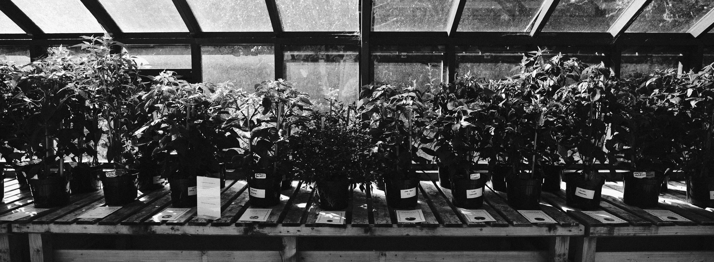 330 XPan 6524 Neocross R100 SOOC Tests (22).jpg