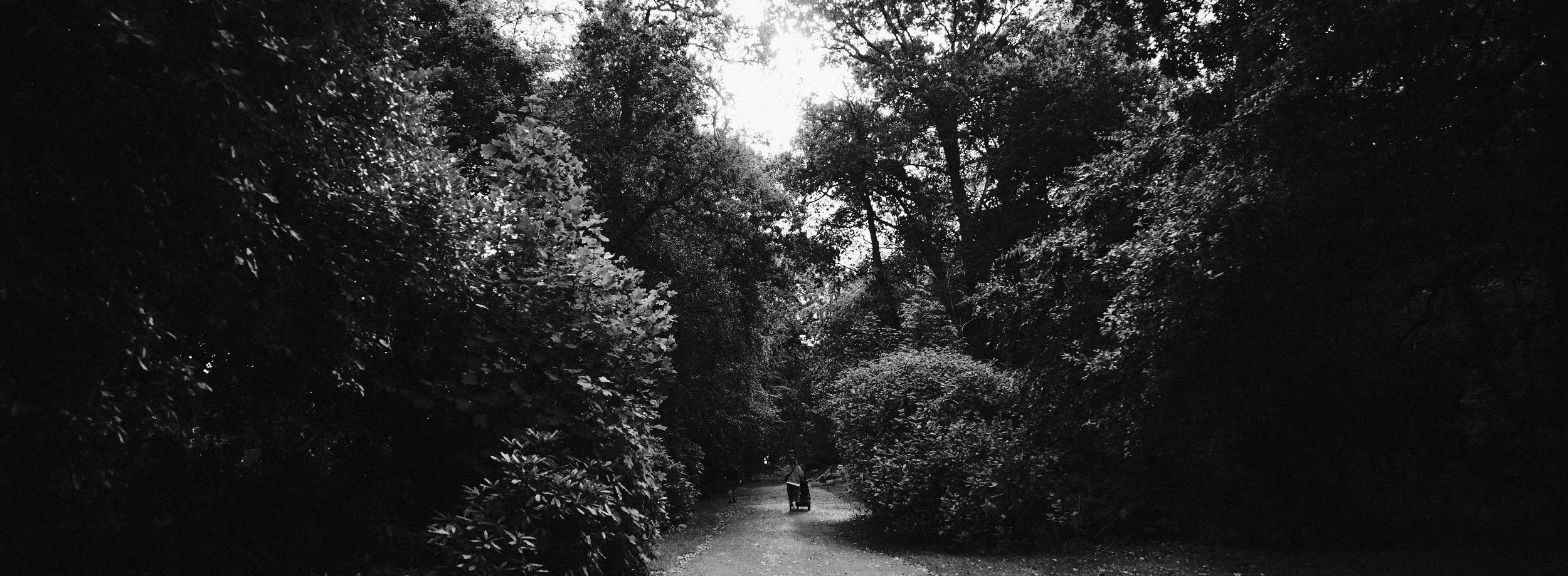 330 XPan 6524 Neocross R100 SOOC Tests (16).jpg