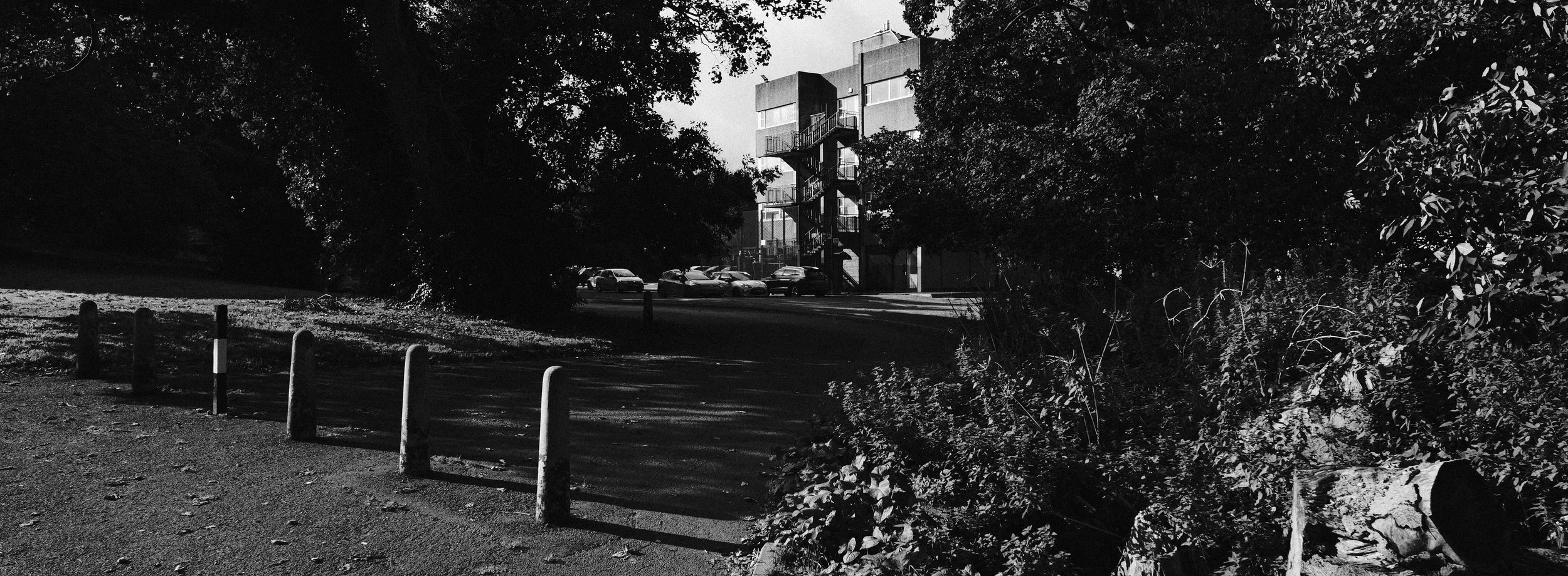330 XPan 6524 Neocross R100 SOOC Tests (14).jpg