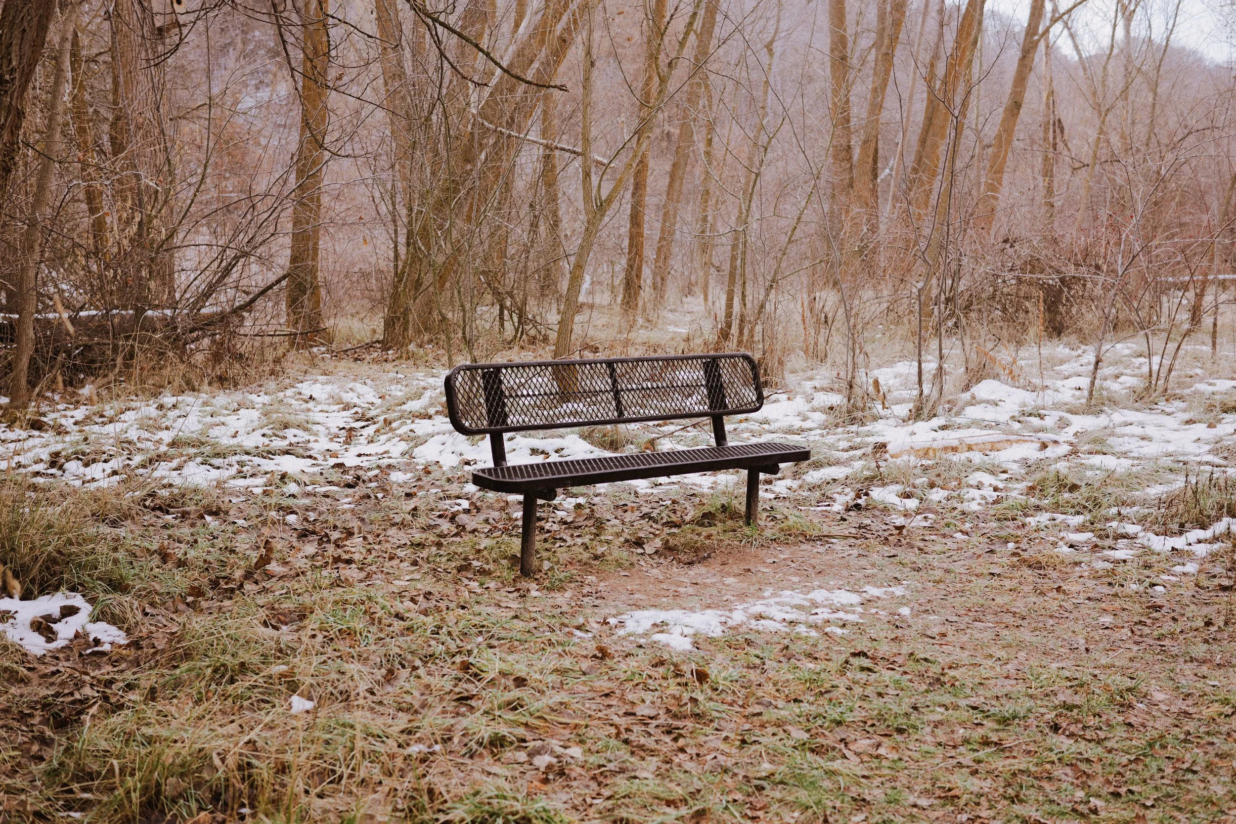 CineStill 400D // Tim Sondrup