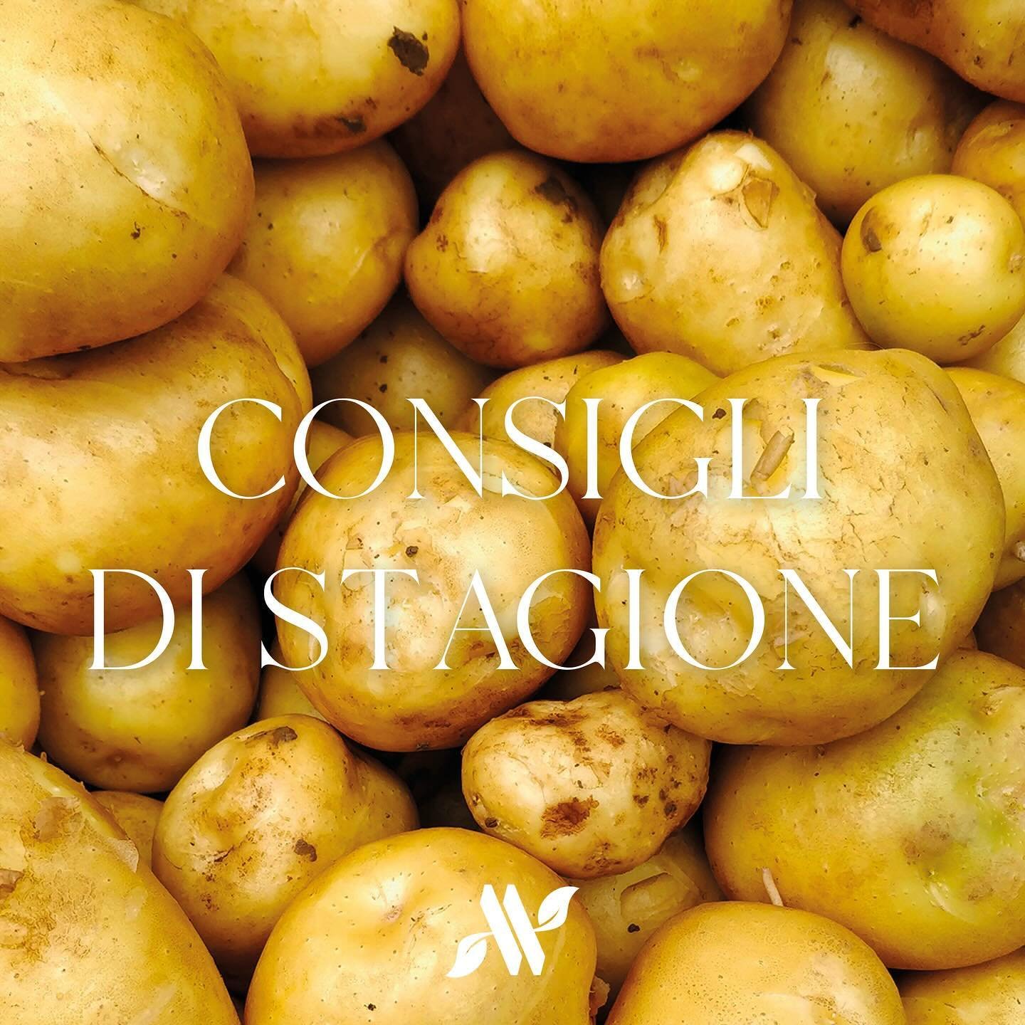 Sapevate che le patate sono un ottimo ingrediente per proteggerci da un gran numero di patologie? Vieni a scoprire come le prepariamo!

#artistidelvegetariano #patate #healthy #spring