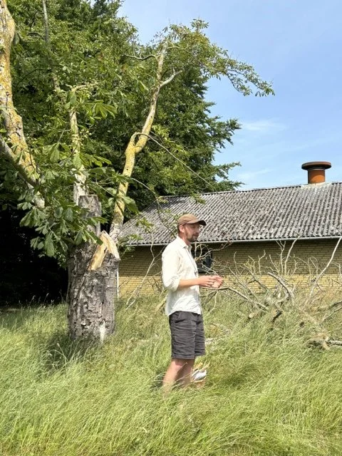 IMG_8644.jpeg