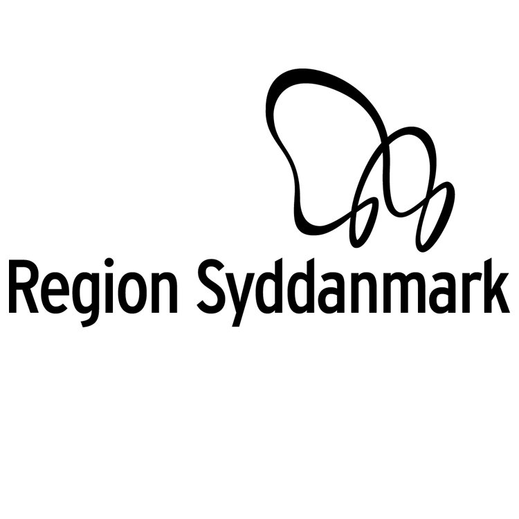 region syddanmark 1.jpg
