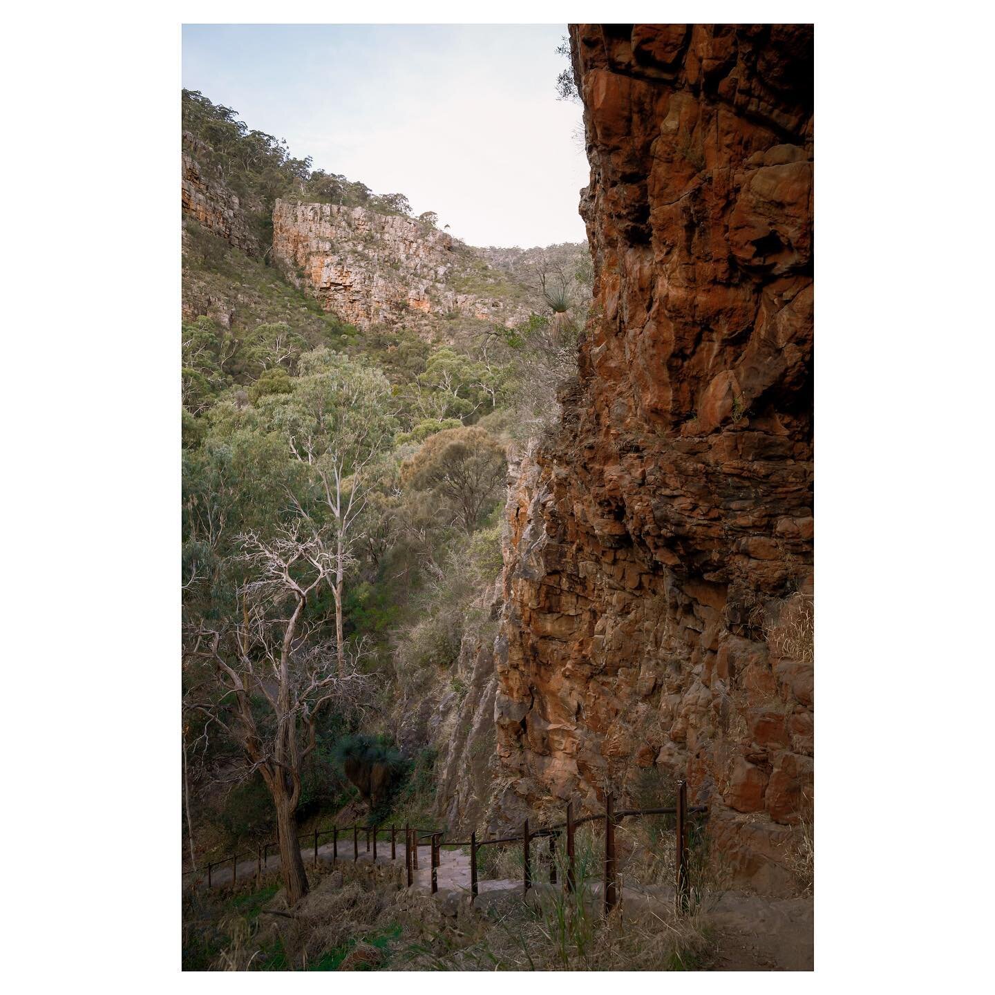 Stairway to Country @nothingtoseehereaus_