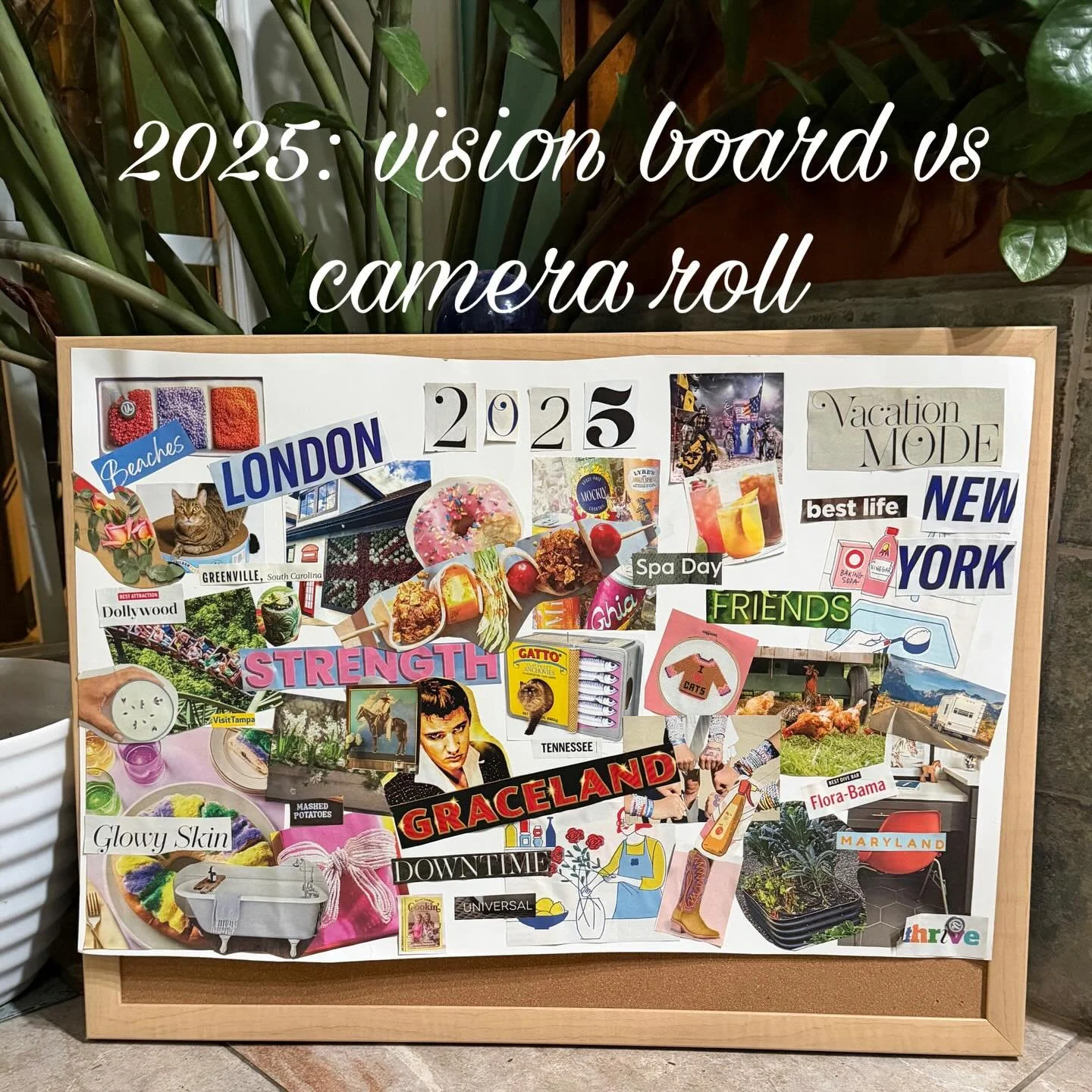 Before making a 2026 vision board, I took some time to see what from my 2025 vision board came to be&hellip; ✨

1 - Continued my quest to be a crazy cat lady by adopting a new kitten, Muffy, from @kittenangelrescue.

2 - Attended the grand opening of