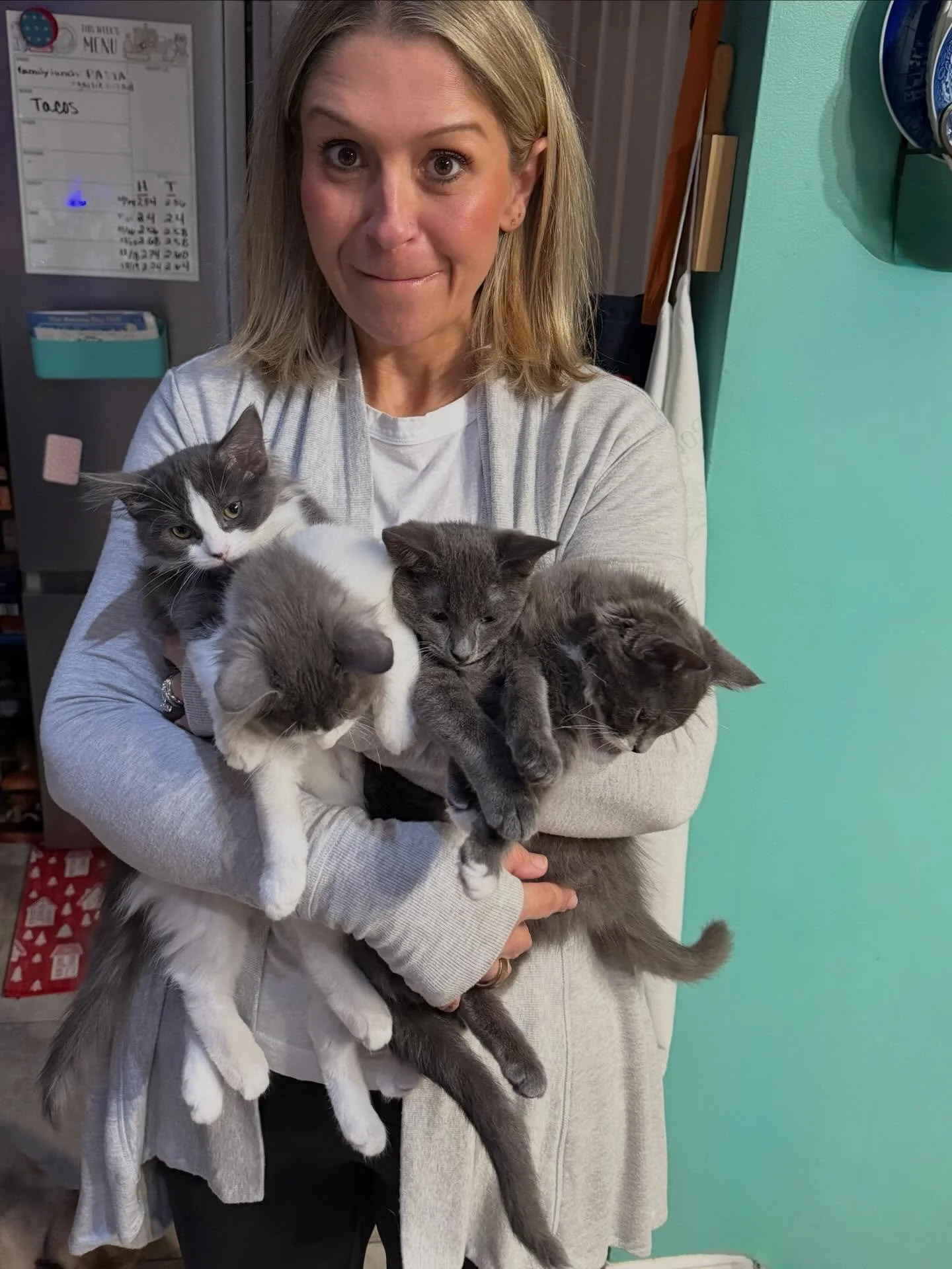 Life in the hissing booth&hellip; 🐾👟🍿💓🍝✨