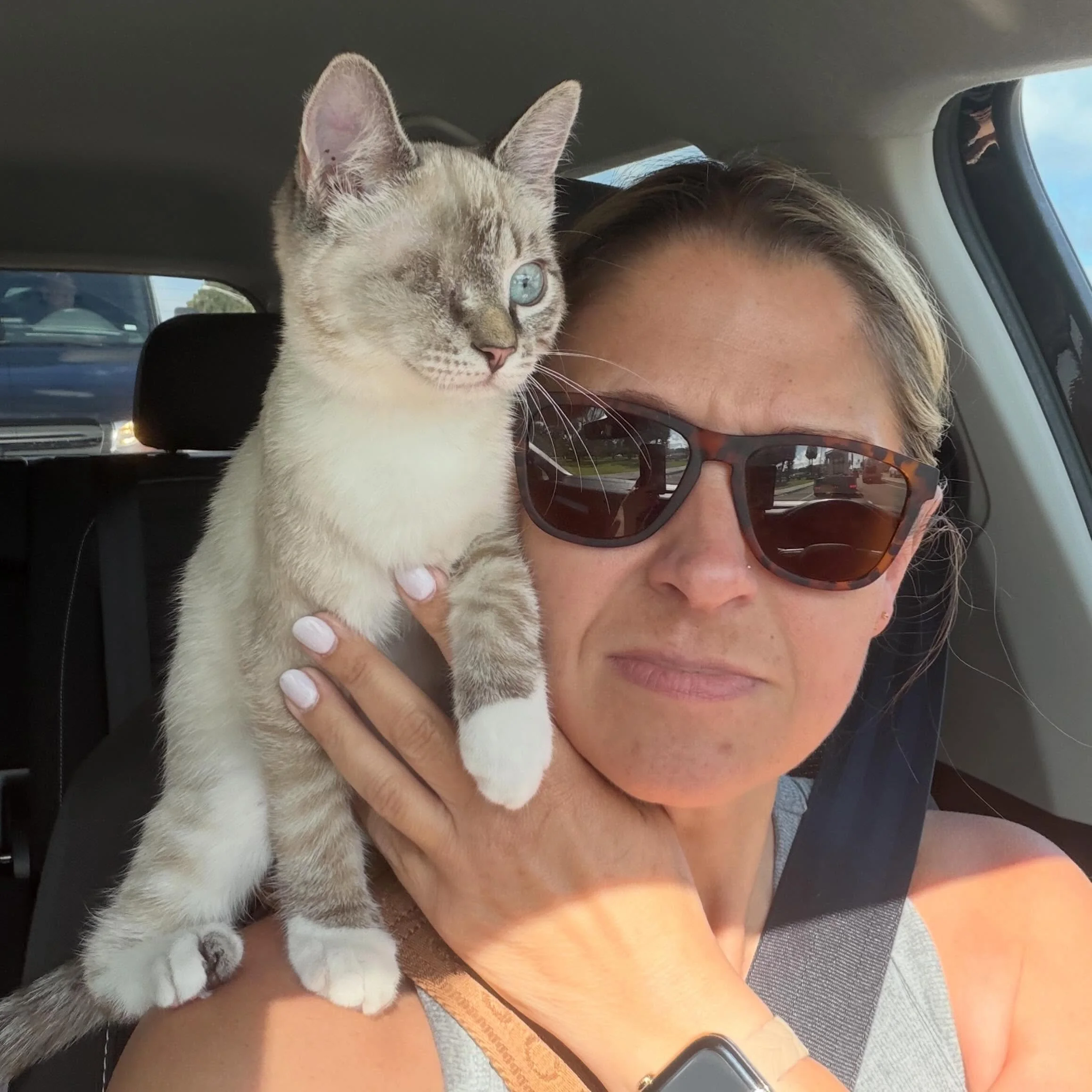 My girl Jojo got her eye stitches out today and she&rsquo;s almost ready to go to her forever home. 💓

She&rsquo;s had a number of issues with her eye since @kittenangelrescue took her in, and though it appeared to be getting better, she ended up wi