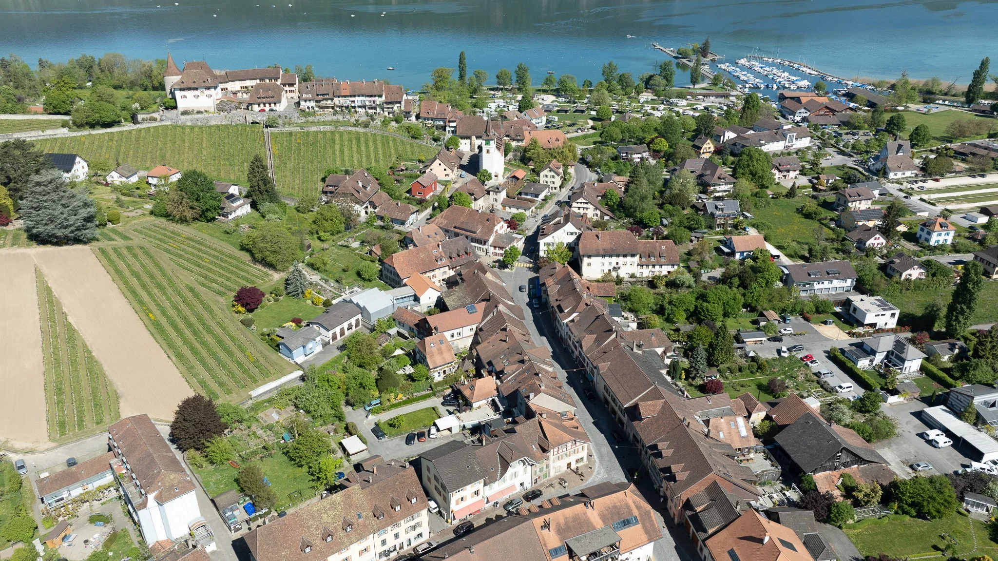 DJI_0941.jpg