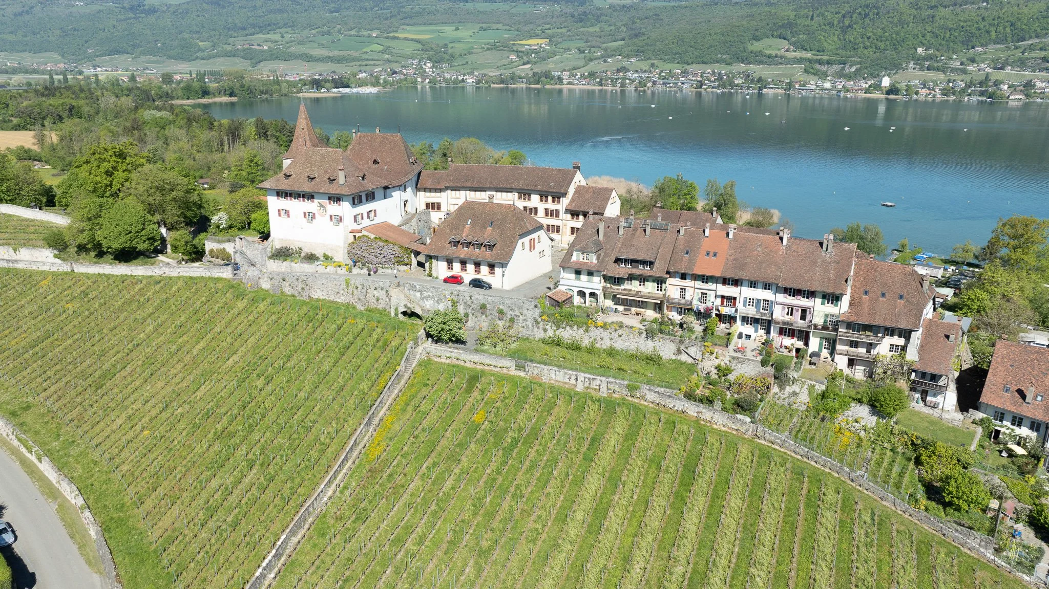 DJI_0936.jpg