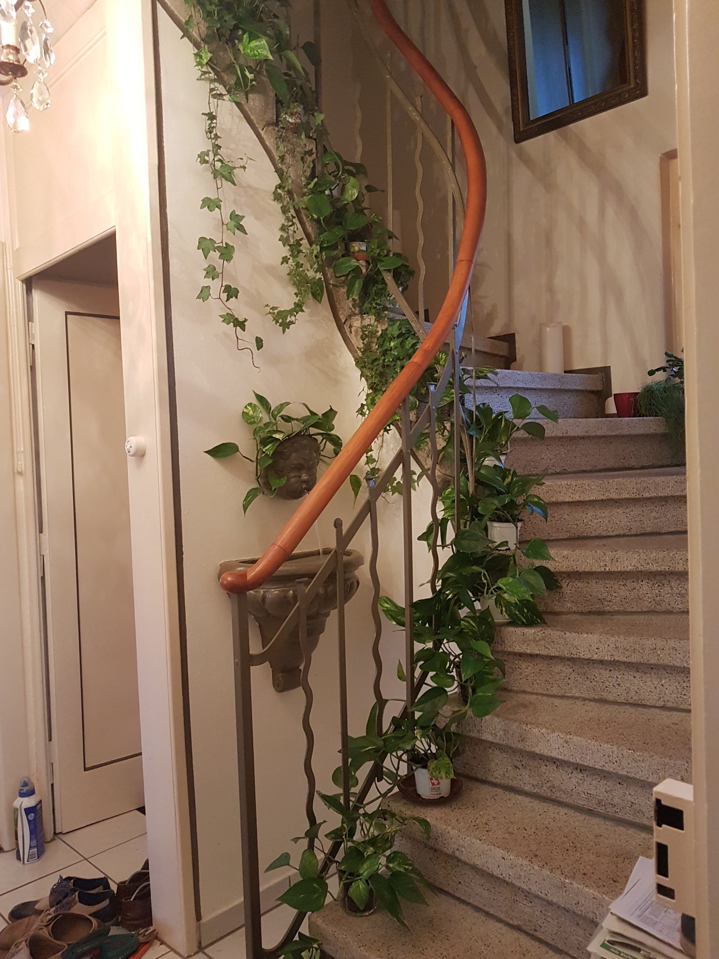 20190424_063504.jpg