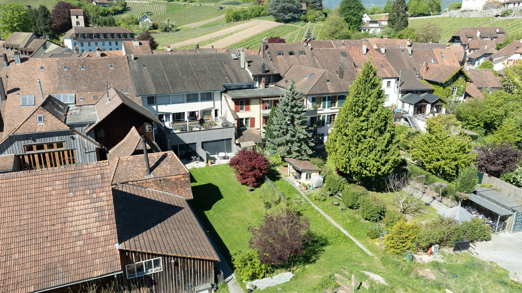 DJI_0924.jpg