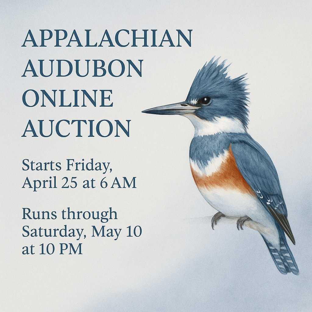 🎉 The Appalachian Audubon Online Auction is Almost Here!
🗓 Starts Friday, April 25 at 6AM
🕙 Runs through Saturday, May 10 at 10PM
🔗 Bid here: https://new.biddingowl.com/AppalachianAudubon
🪶 From bird-themed treasures and nature-inspired gifts t