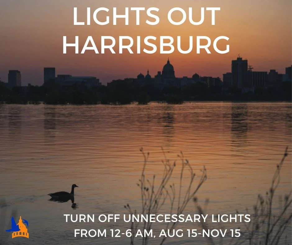 Light pollution is a serious threat to wildlife. Please help our migrating birds venture to their wintering grounds safely by limiting unnecessary artificial light at night. Please pledge today by following our Linktree in our bio.
#lightsout #Ligh