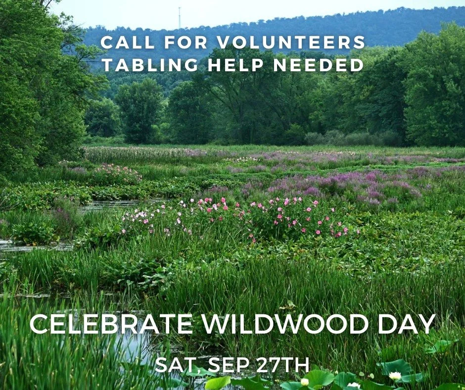 Appalachian Audubon is pleased to announce it will table at this event, celebrating the gem that is Wildwood Lake Park in Harrisburg. We need volunteers to staff the table from about 9:30am-2:30pm. Volunteers can sign up for 1 hour shifts at minimum