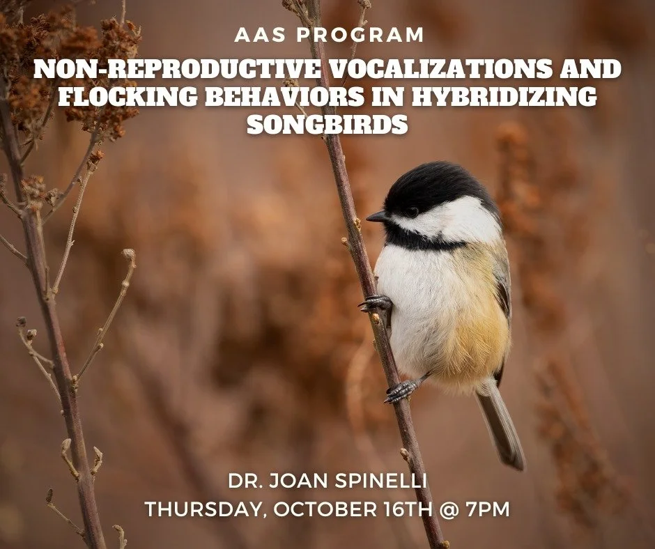 Please join us at our monthly membership meeting on Thursday, October 16th!
Pennsylvania is home to two species of chickadee: the Black-capped and Carolina Chickadee. Hybridization occurs where the ranges of these two species overlap, like the narro