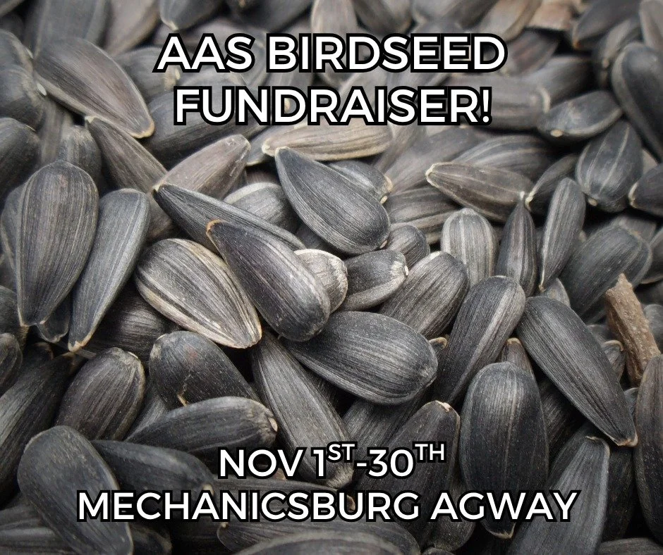 We have once again partnered with Davis Country Living - Mechanicsburg Agway (977 W Trindle Rd.) to offer bird seed at a discounted price for November.
Birdseed purchases help us raise the funds we need for local education and conservation programs,