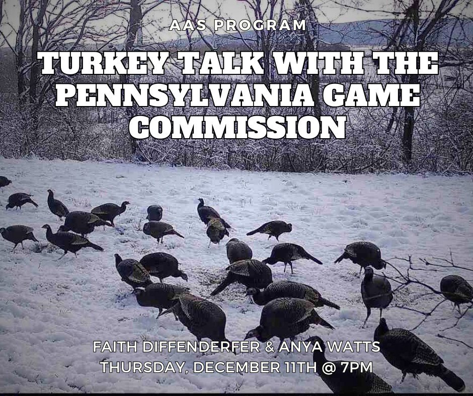 Join PA Game Commission Biologists, Faith Diffenderfer and Anya Watts, to learn about the PA Wild Turkey Study!  This presentation will focus on the research protocols and general findings of habitat use, survival, and nest success. Discuss how these