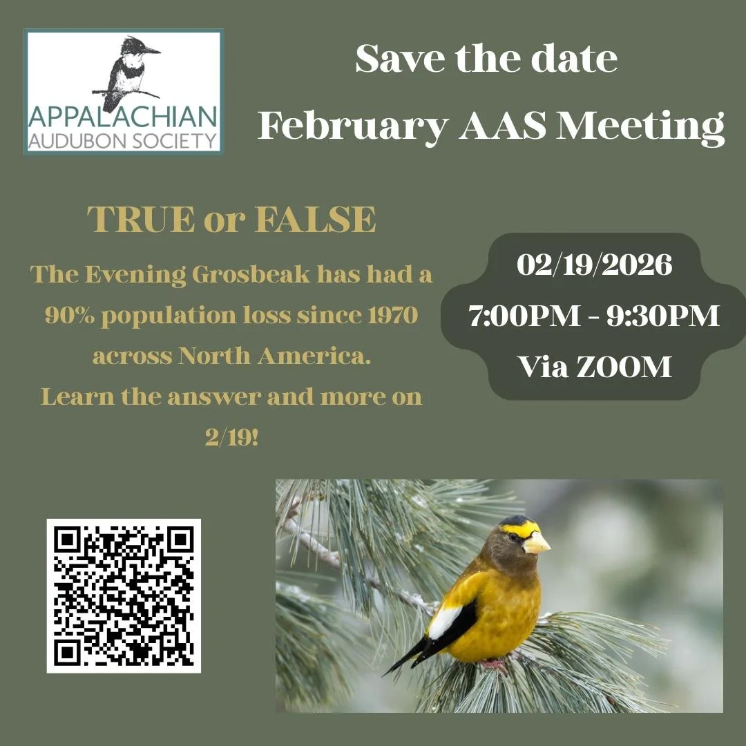 SAVE THE DATE! 🗓️🐦
The AAS February Meeting is on 2/19/26 from 7&ndash;9:30 PM
This Months Topic is: Continental Conservation of the Evening Grosbeak
Think you know your birds? Comment below to answer our True or False 👇
Register Here: https://us0