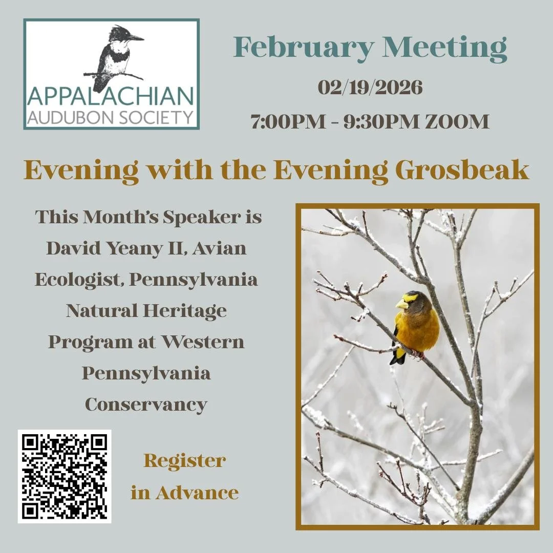 Thursday 2/19/26 @ 7:00 PM - 9:30 PM

Continental Conservation of the Evening Grosbeak

Speaker: David Yeany II, Avian Ecologist, Pennsylvania Natural Heritage Program at Western Pennsylvania Conservancy. This Program will be a virtual online present