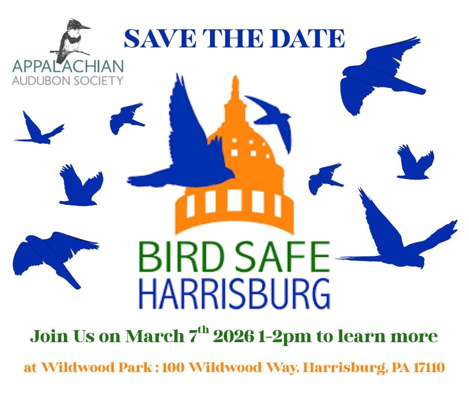 Join Us on March 7th 2026 from 1pm-2pm to learn about our Bird Safe Harrisburg initiative. A major component of this initiative is a bird collision monitoring program which aims to identify the timing of collisions, what bird species are most affecte