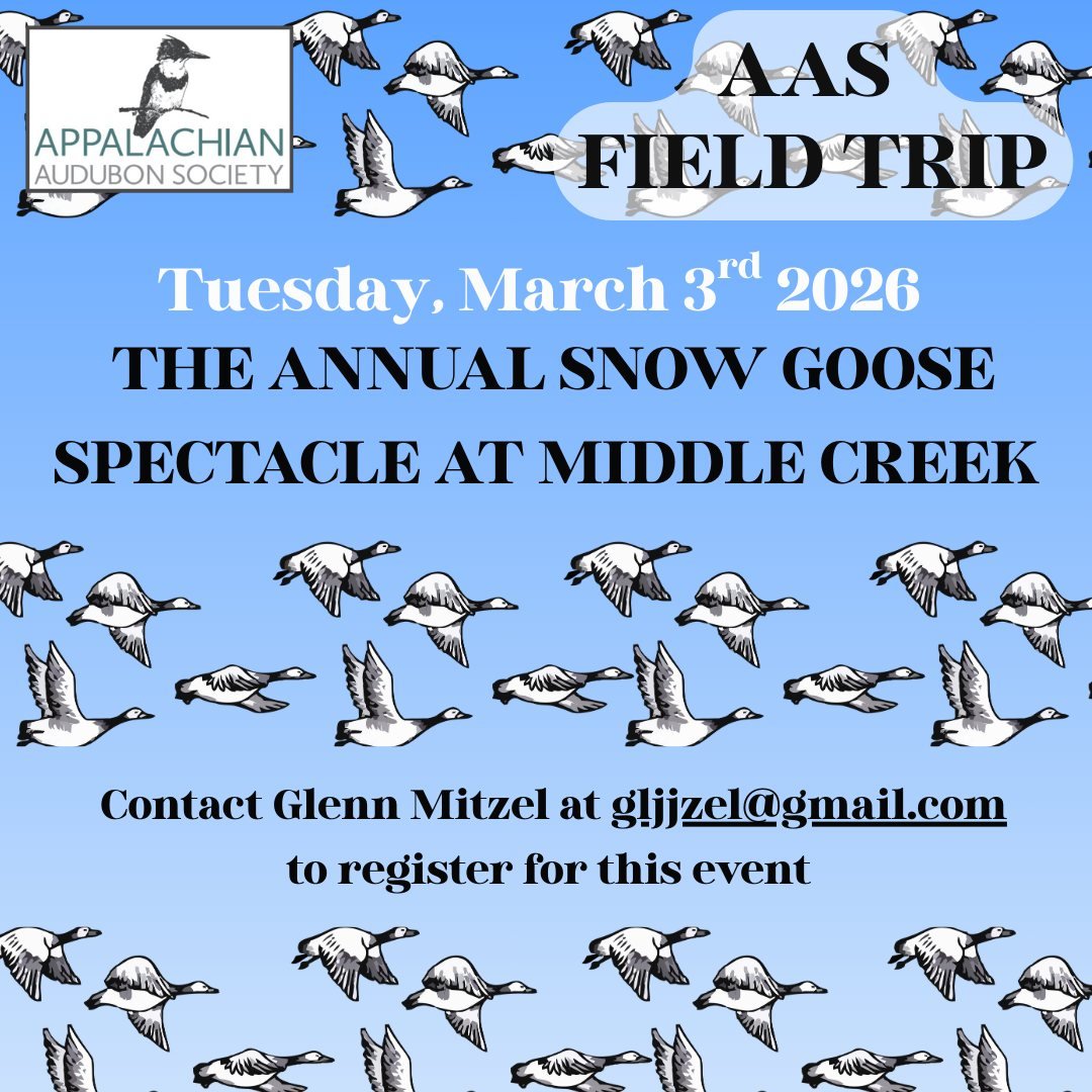 Save the date! Tuesday, March 3rd 2026 
THE ANNUAL SNOW GOOSE SPECTACLE AT MIDDLE CREEK 

This year&rsquo;s trip to Middle Creek is again scheduled for a weekday to avoid the thousands more visitors that arrive on the weekends during peak viewing sea